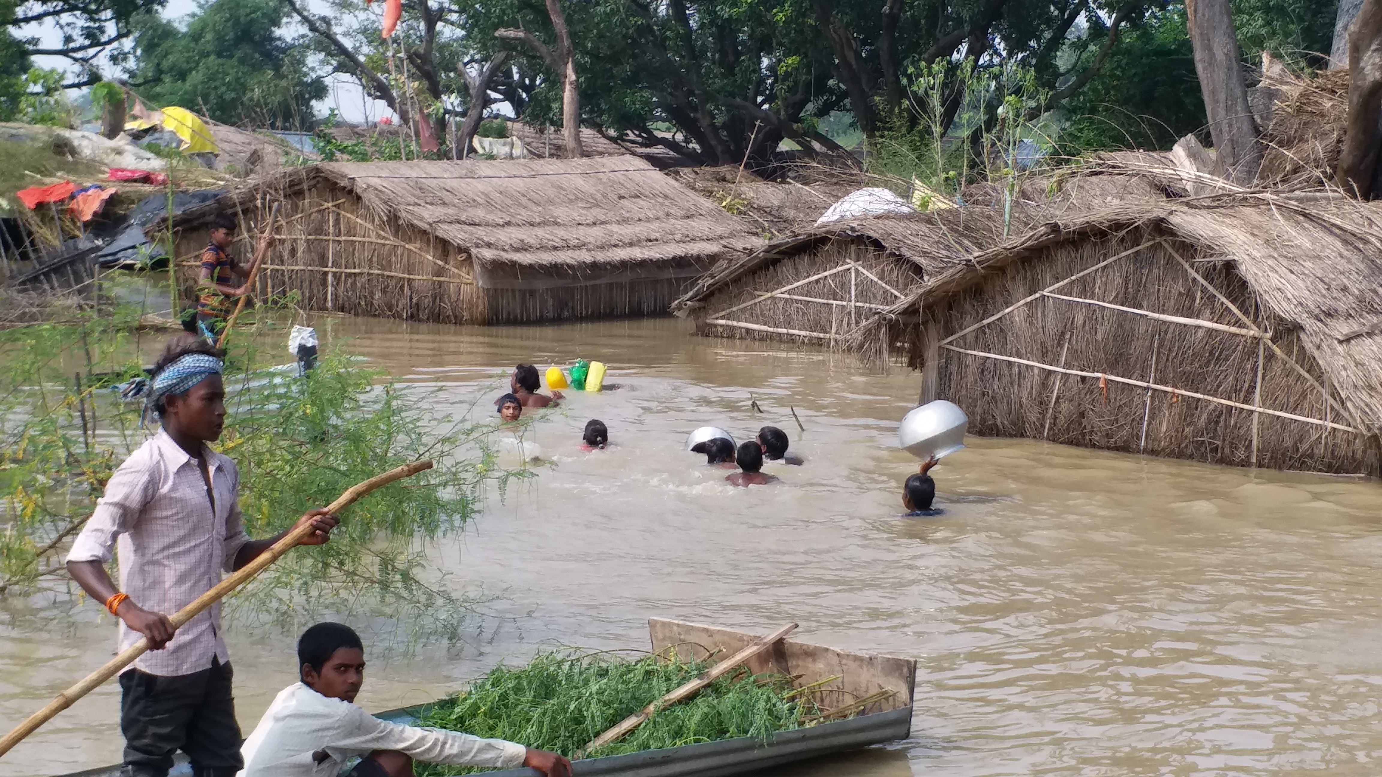 flood victims are living on trees