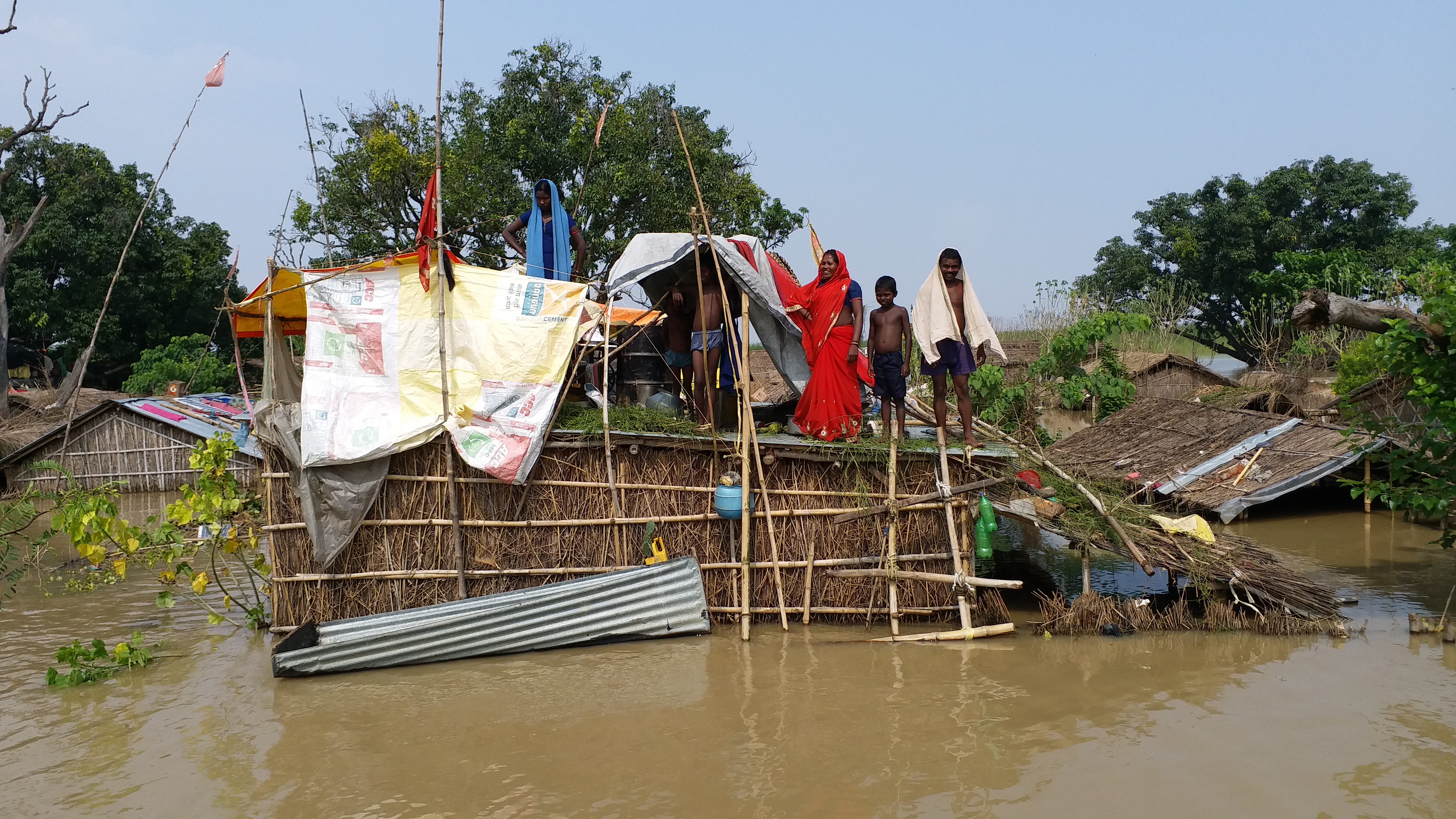 flood victims are living on trees