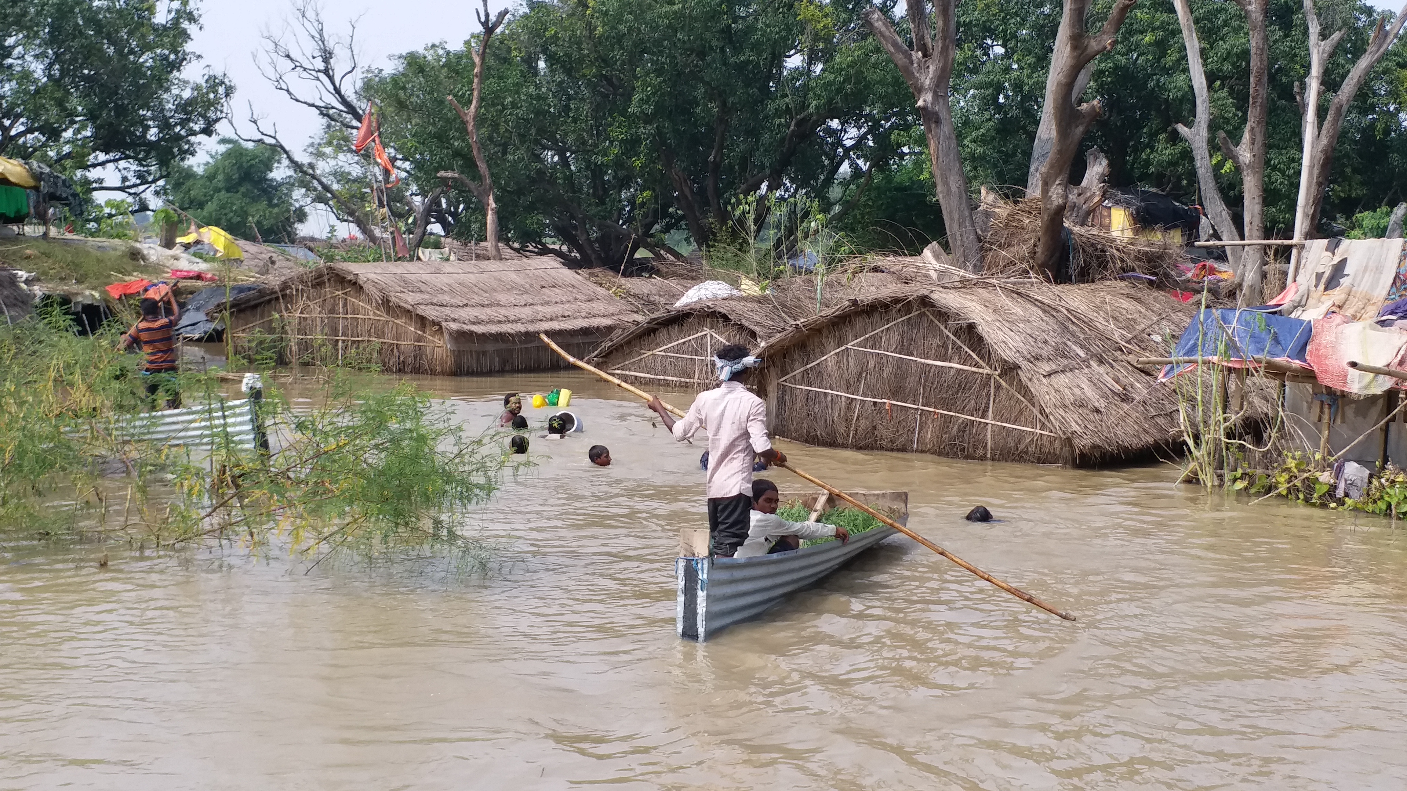 flood victims are living on trees