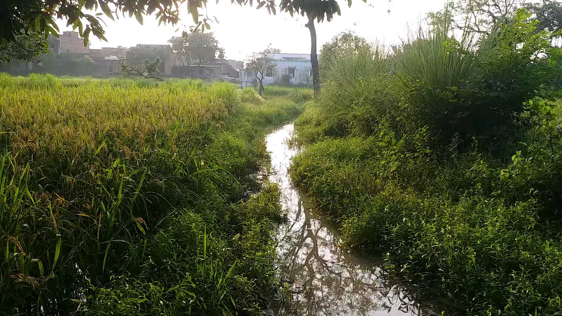 polling station in Buxar