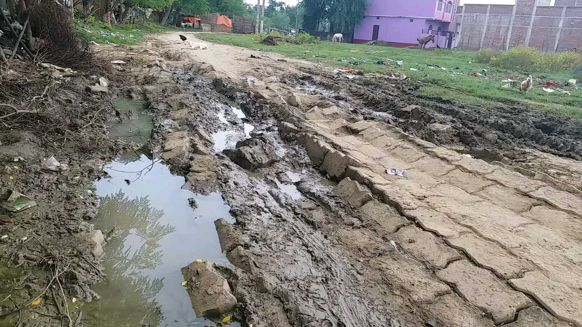 गड्ढे में तब्दील सड़क