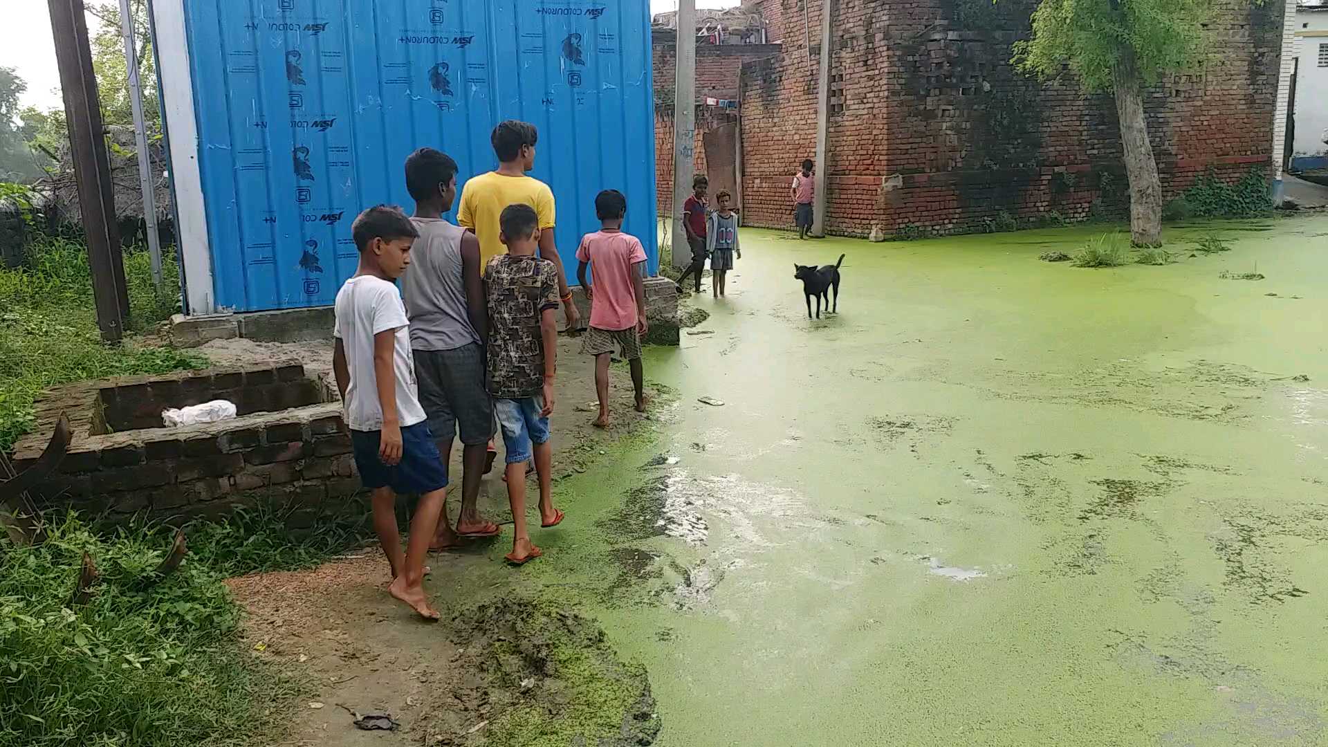 water logging