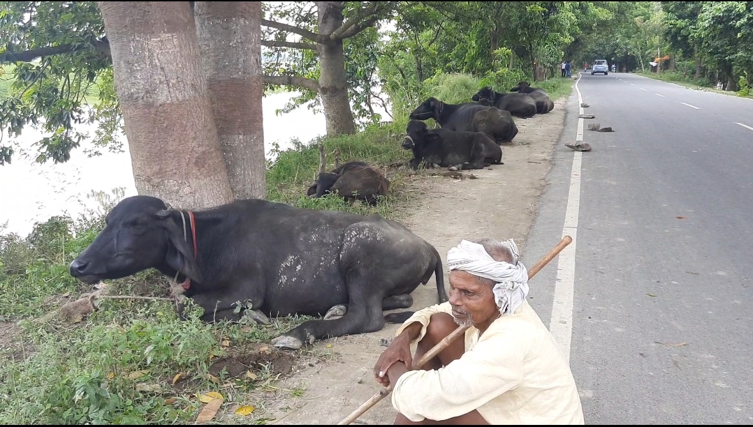 Bagmati river