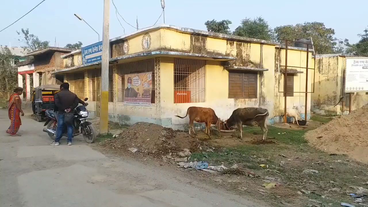 एपीएचसी में डॉक्टर्स रहते नदारद