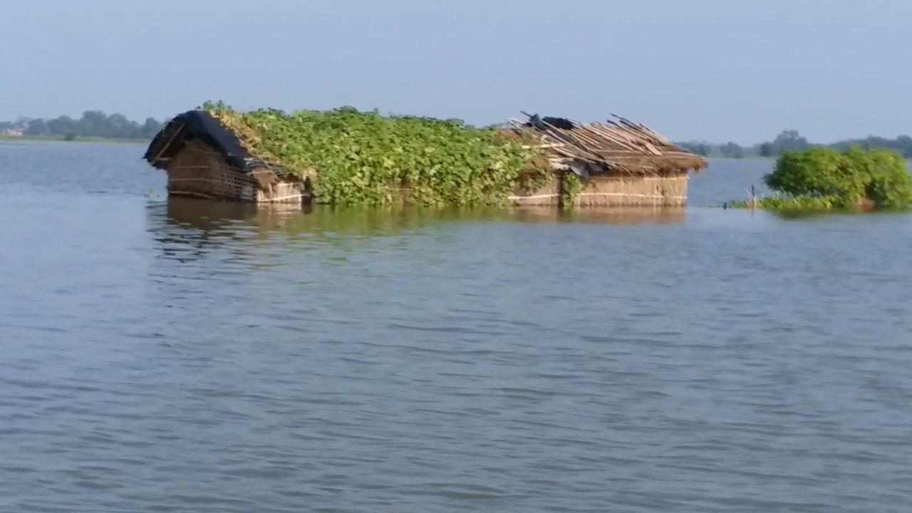 sdrf  helped to flood victims properly in darbhanga