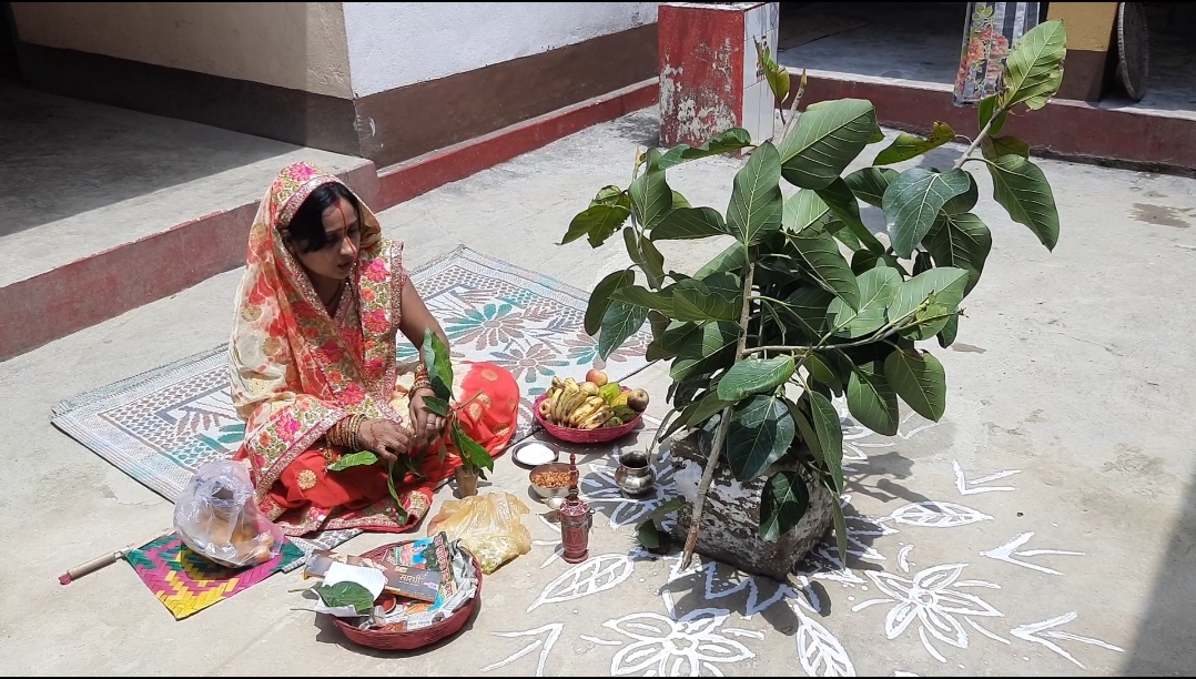 Vat Savitri puja