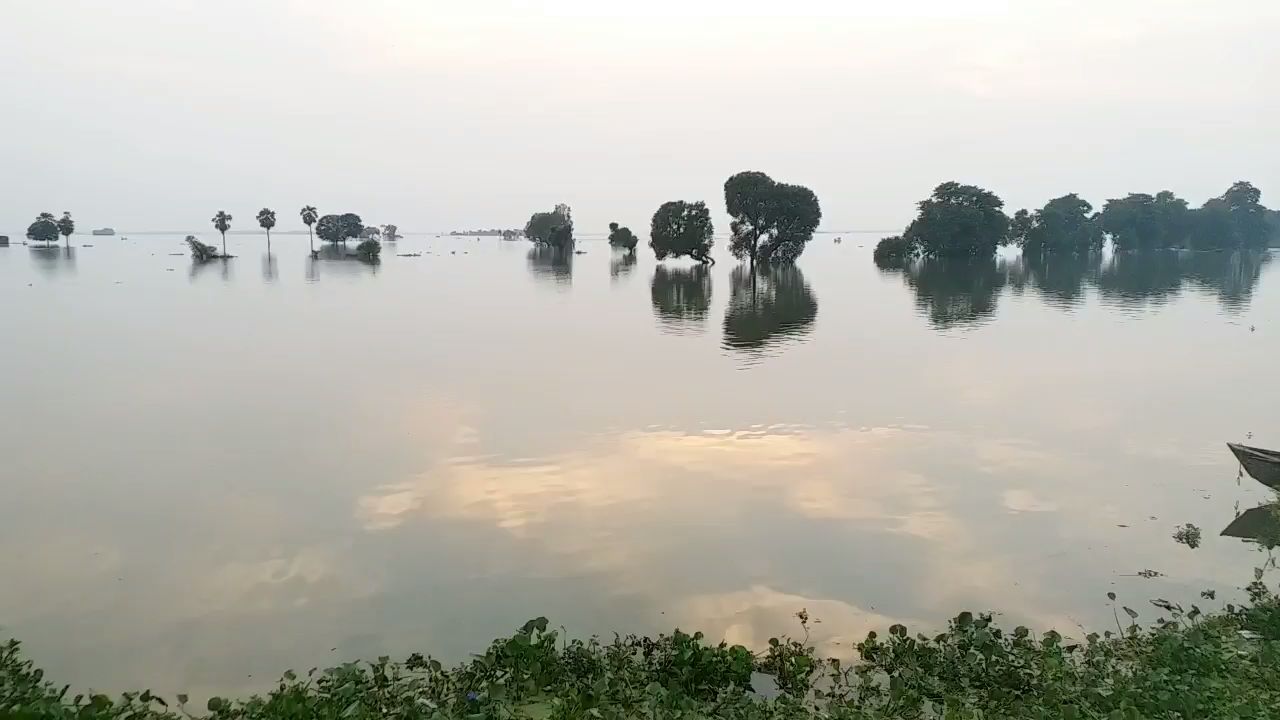 darbhanga