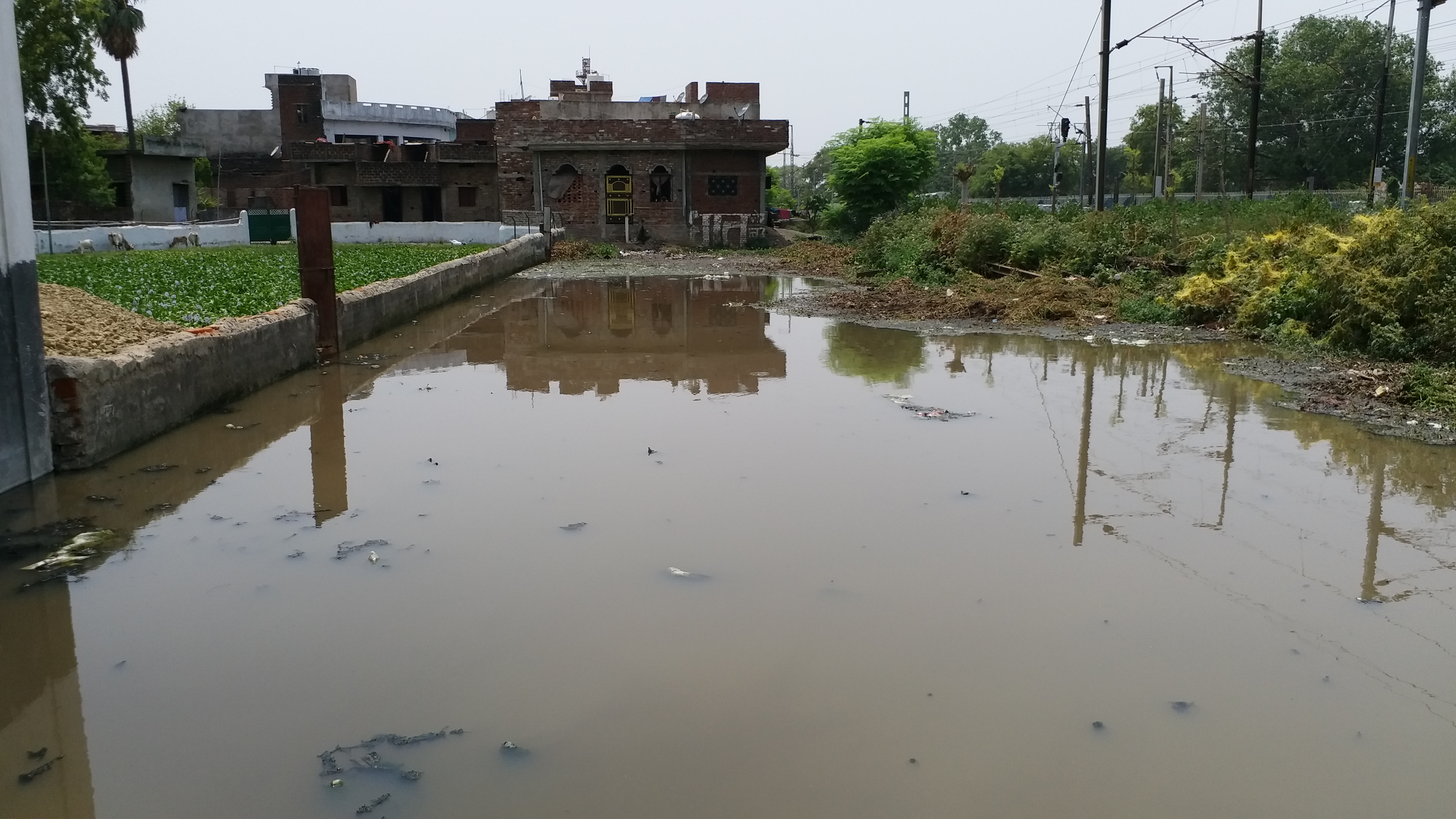 Faiz Colony Graveyard Gaya