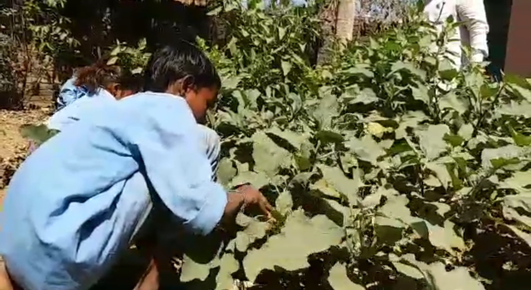 A Teacher Who's Feeding and educating Students in Gaya under the government's 'Kitchen Garden' Scheme