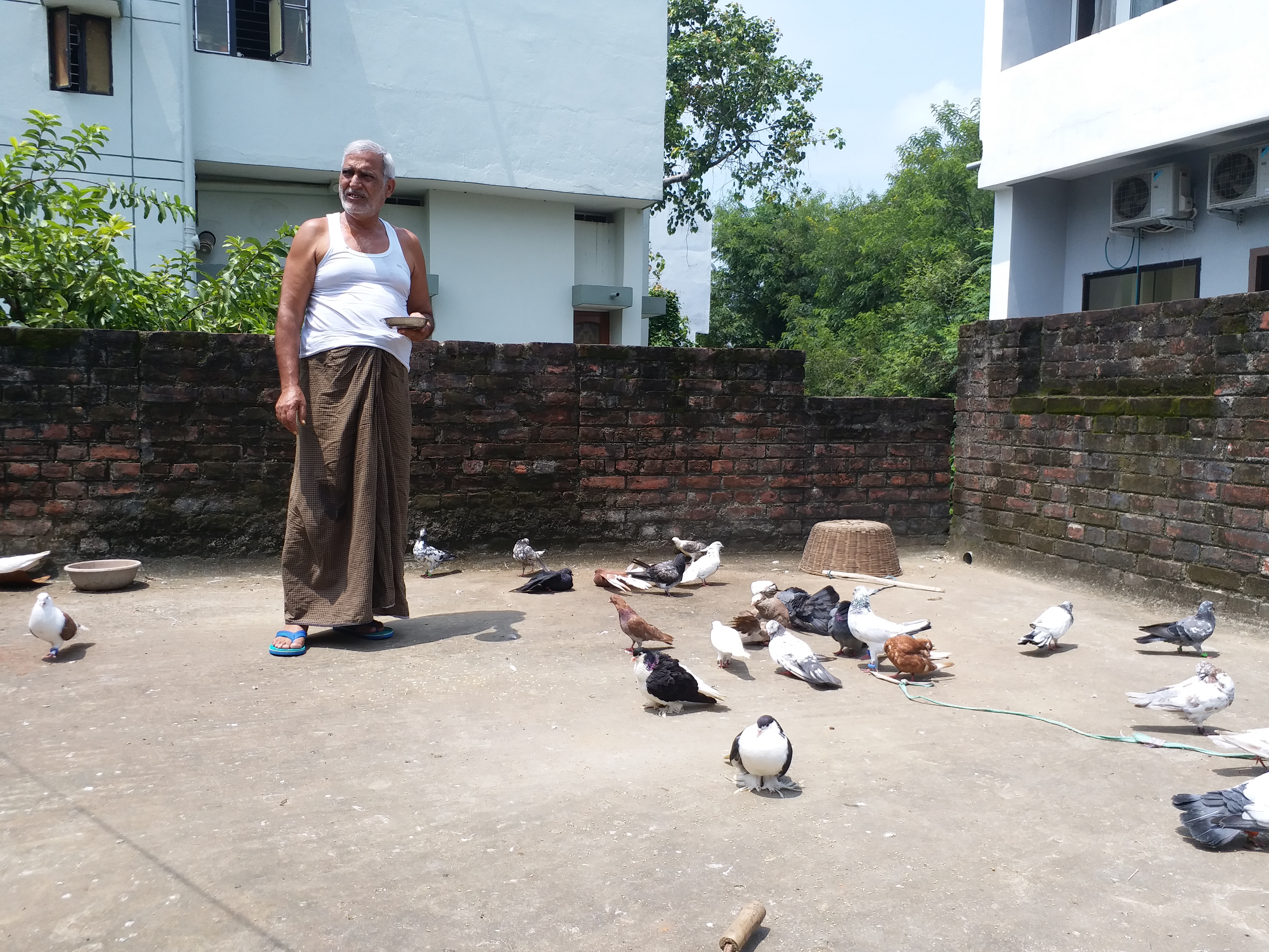 pigeon lover prof hafizur rahman khan in gaya bihar