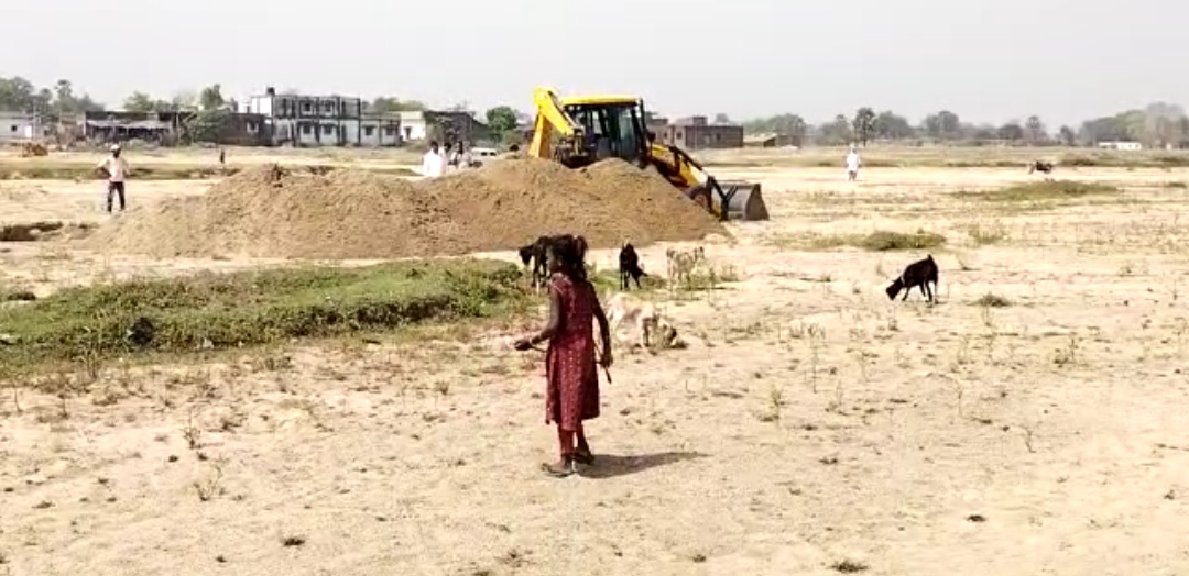 Social workers arrange water for animals and birds in Gaya