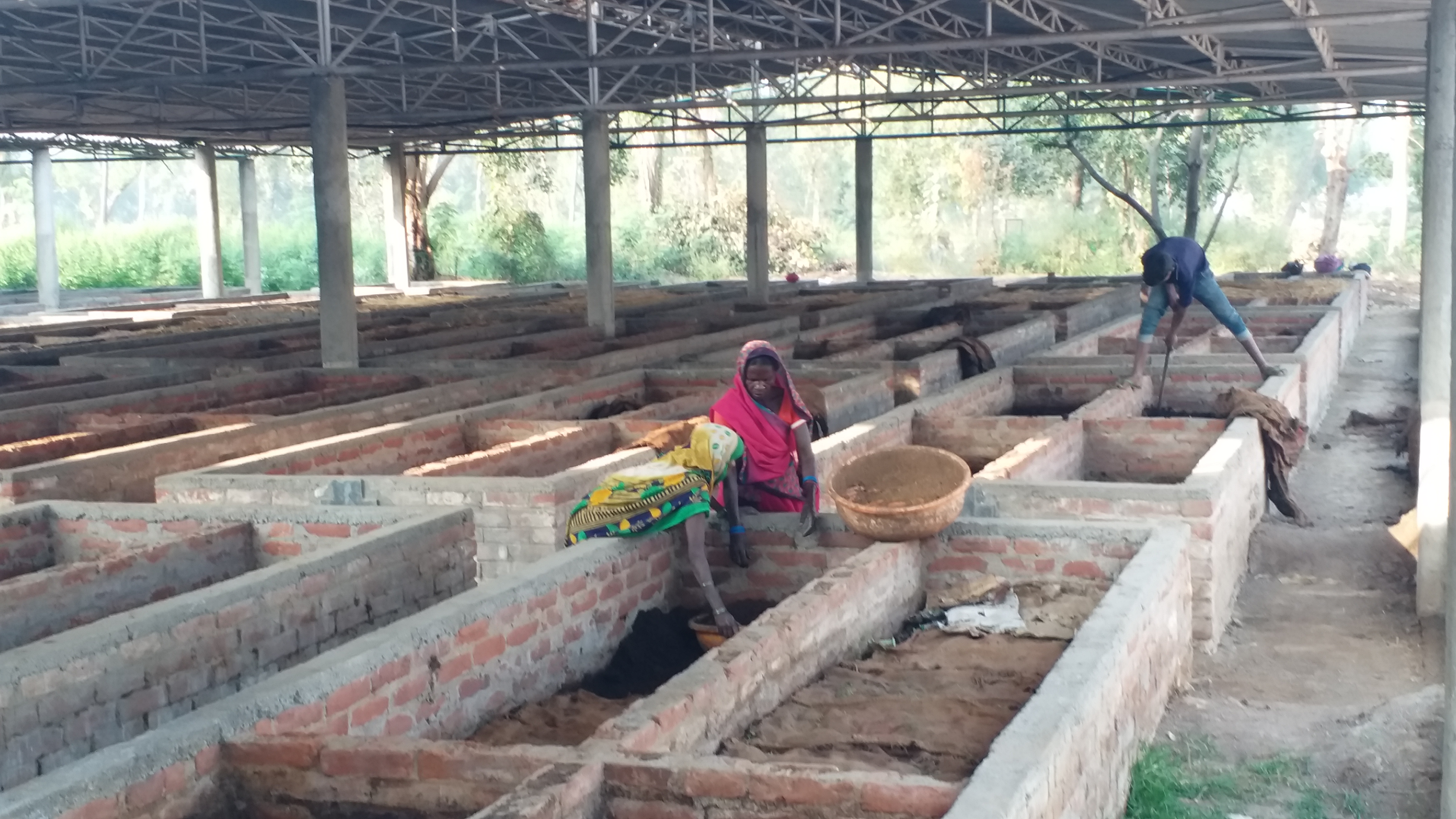 production of organic manure from cow dung in gaya