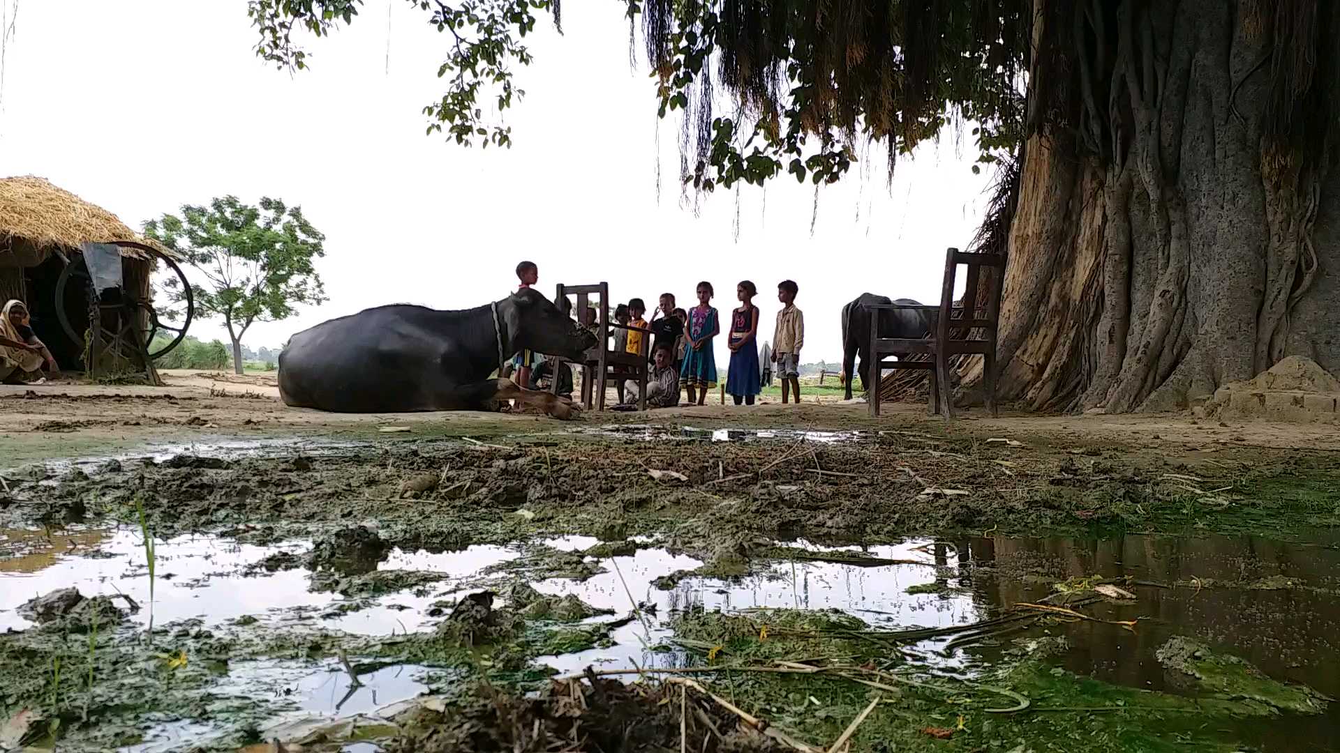 gopalganj