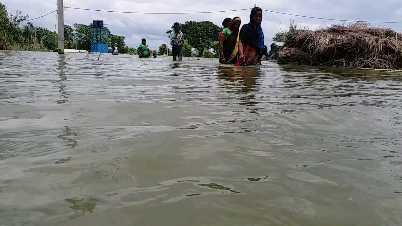 Flood In bihar