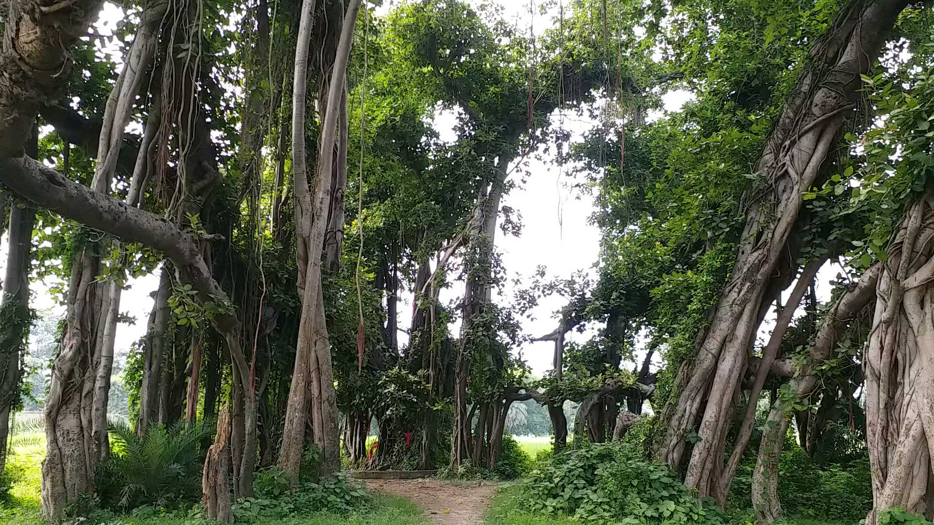 gopalganj