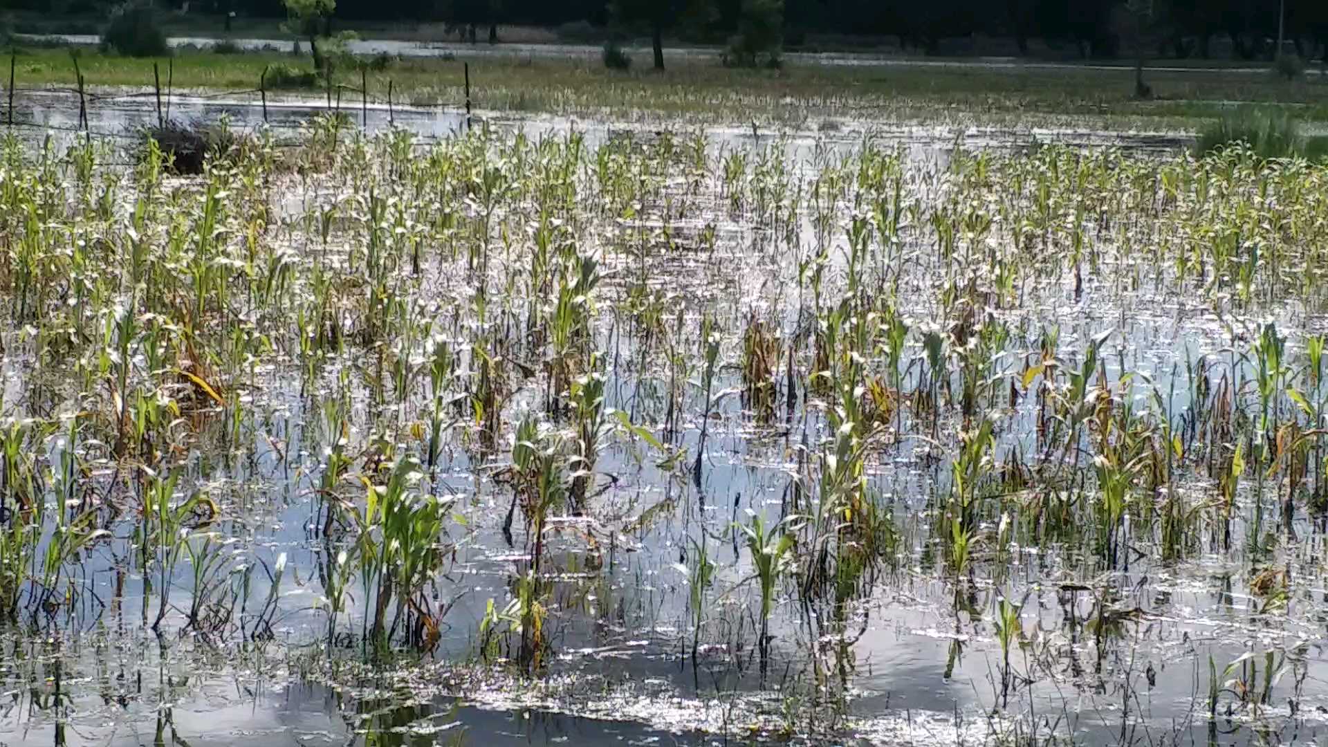 gopalganj