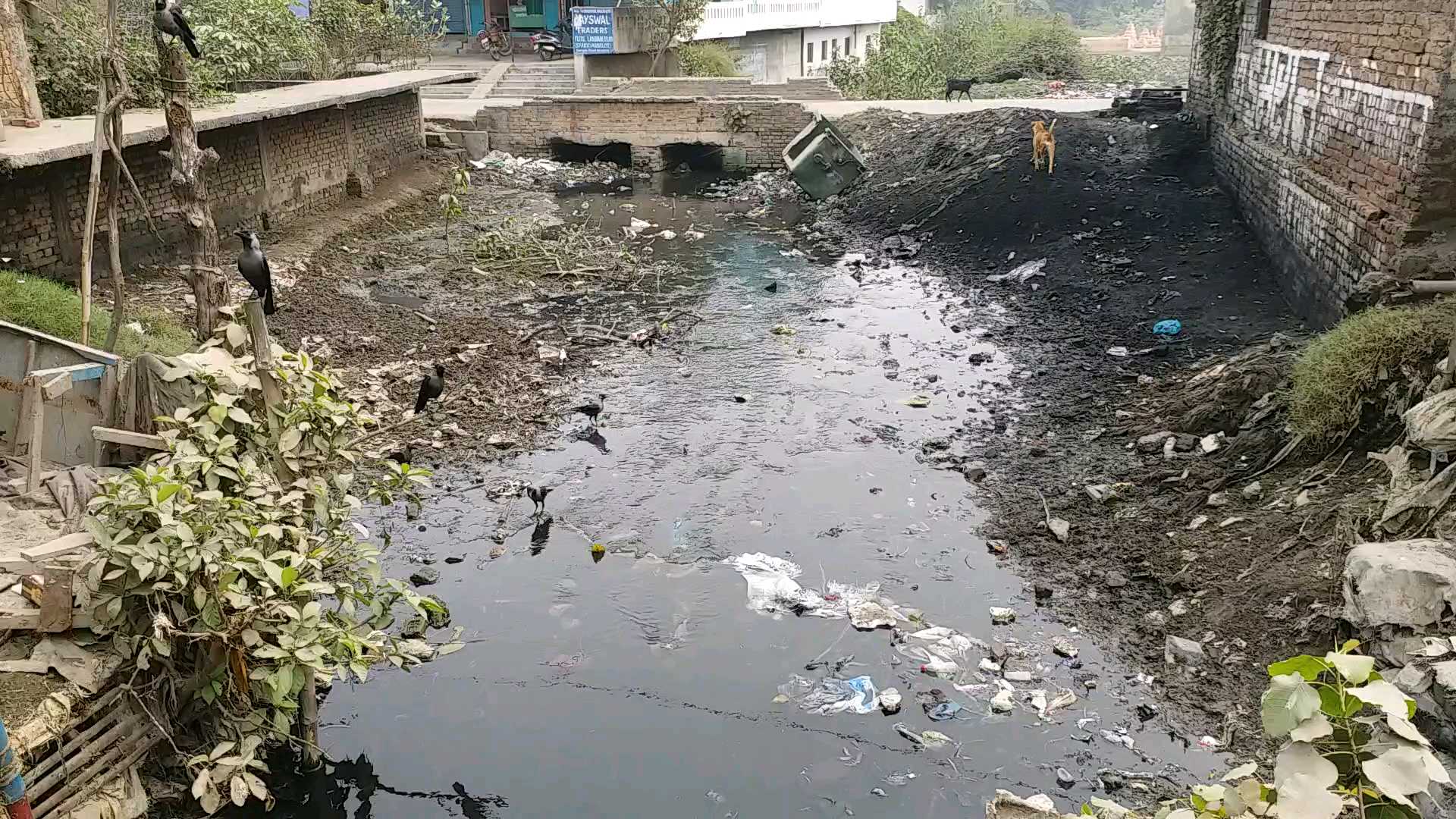 improper sewage system in gopalganj