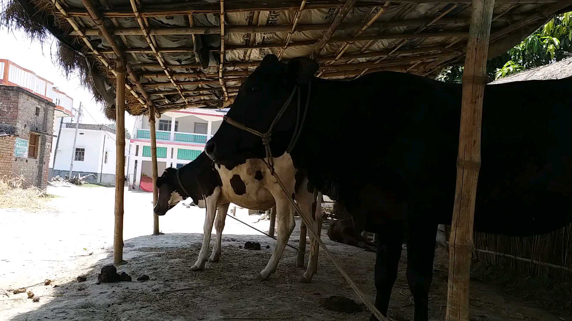 story of lalu yadav village phulwaria gopalganj