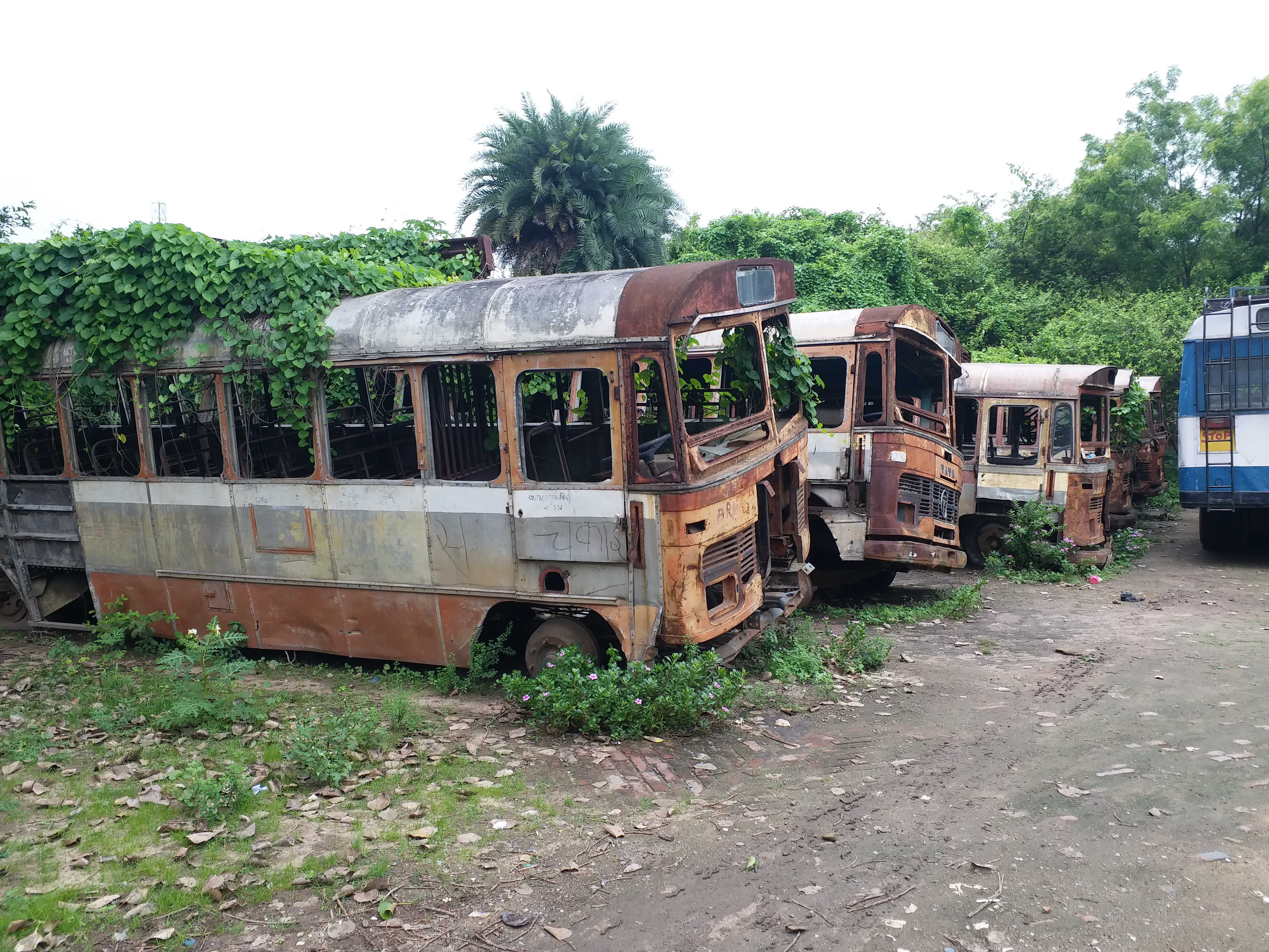 nt bus stop in jamui