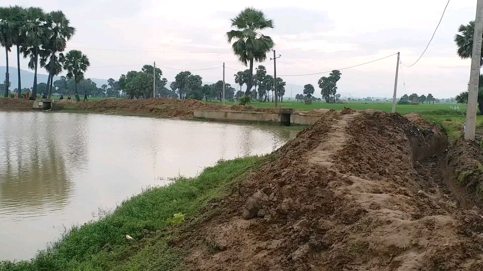 Two boys died after drowning in a pond, jamui latest news