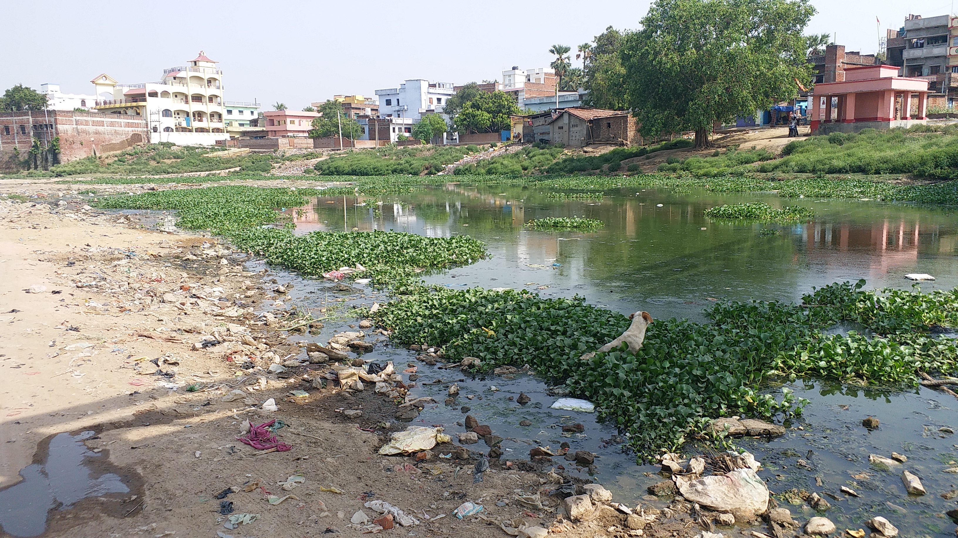 existence-of-dardha-river-in-danger