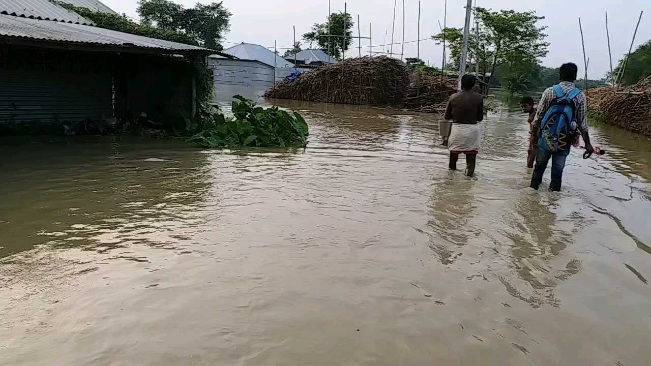 bihar floods etv bharat