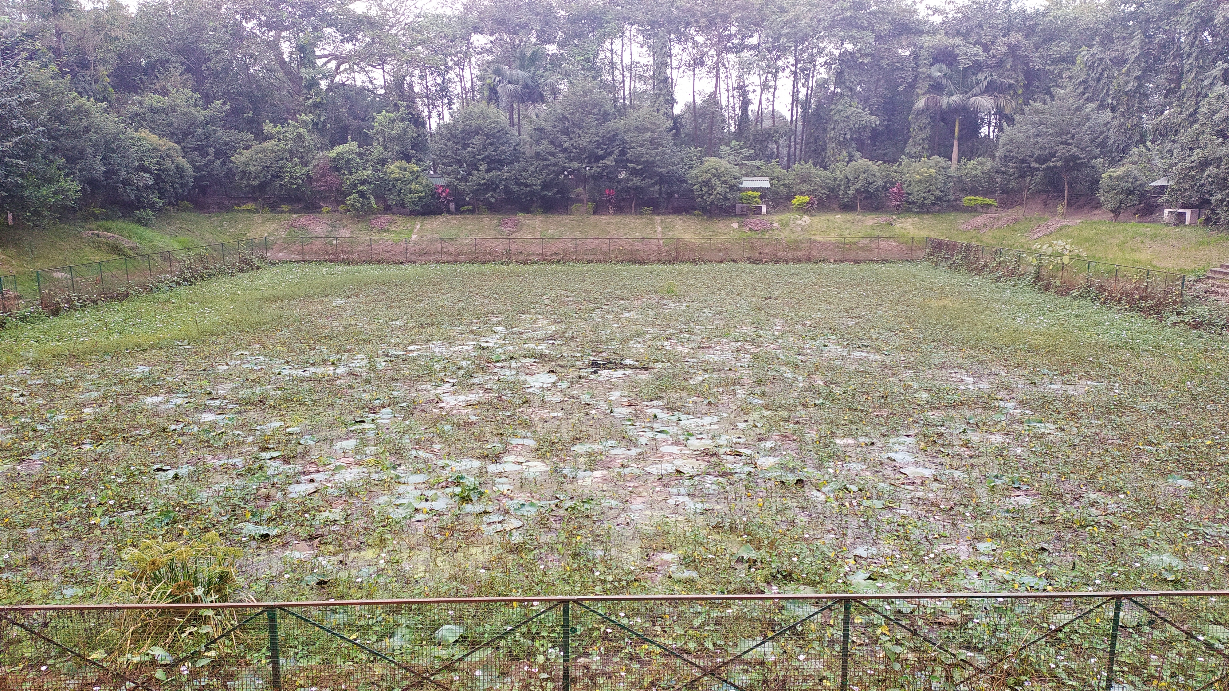 miserable condition of manrega social park in katihar