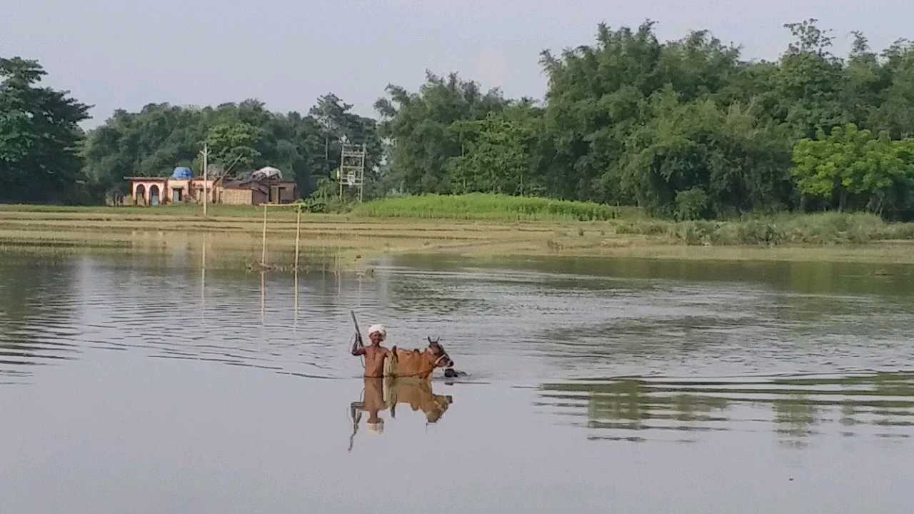 सुरक्षित जगहों पर पहुंच रहे लोग