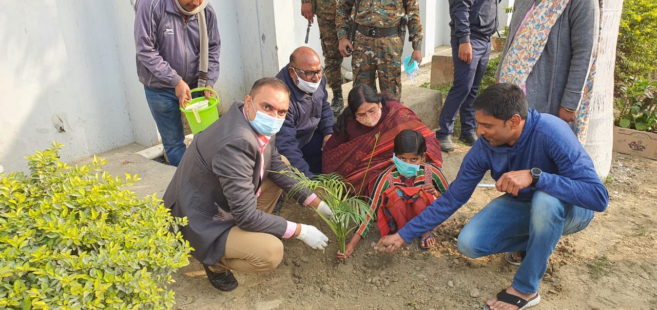 बालिकाओं ने वृक्षारोपण किया