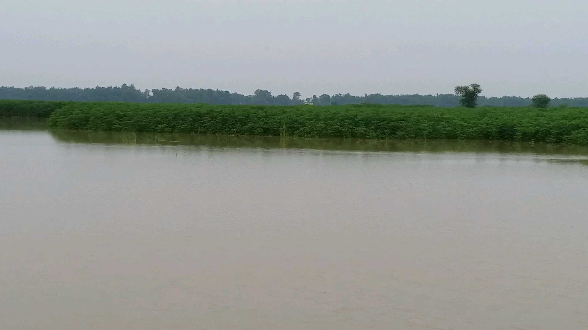 katihar flood