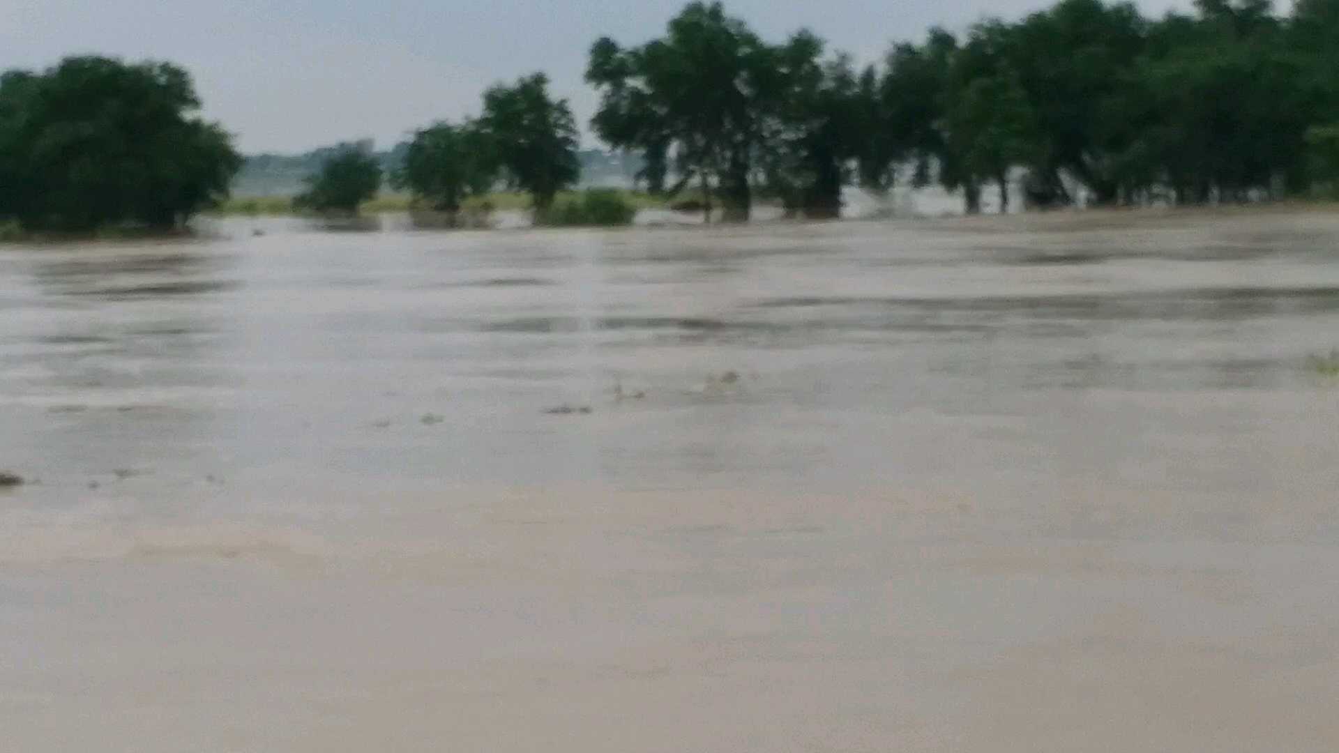 Kamala Balan river flowing above danger mark in madhubani