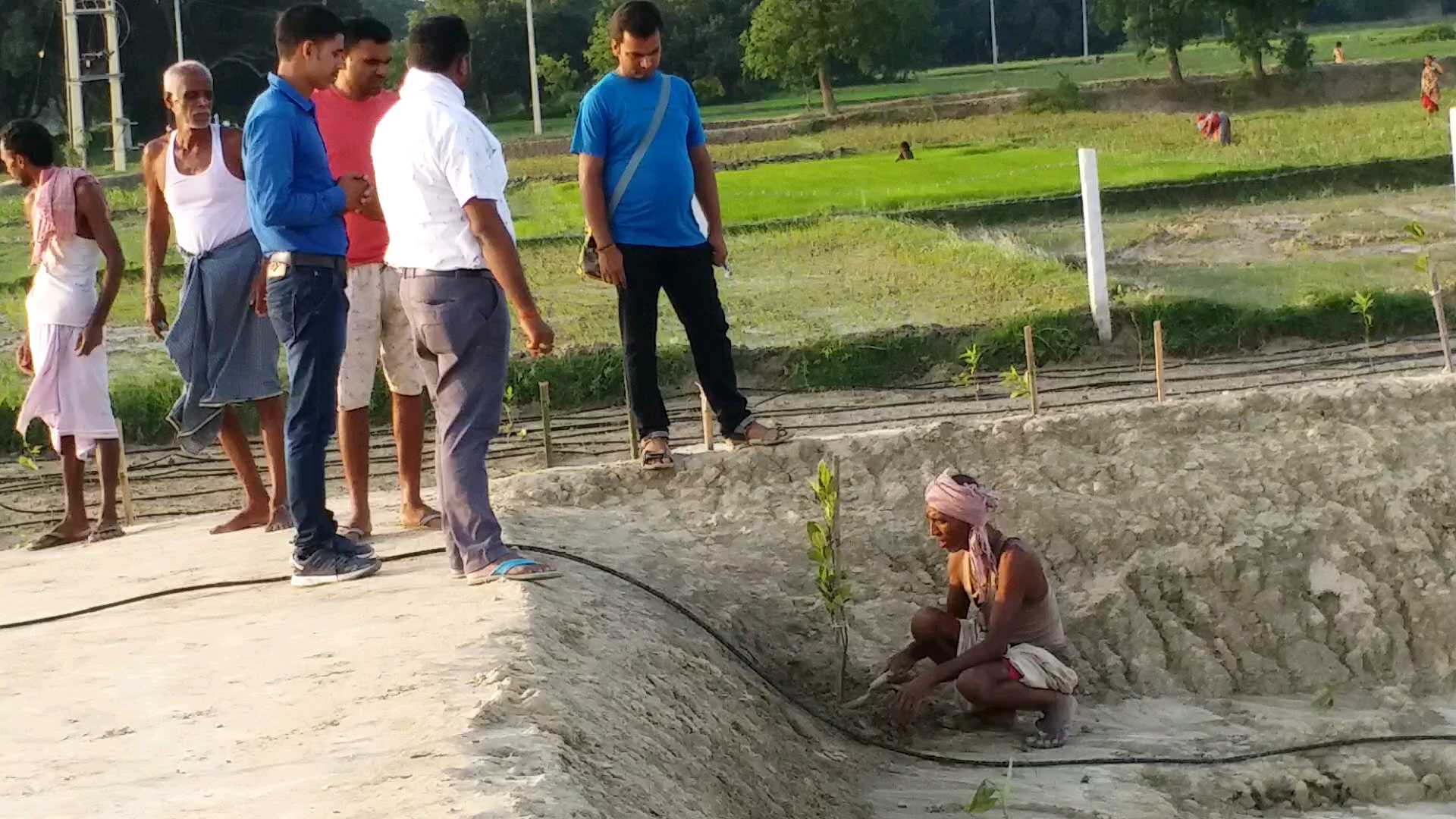 पौधे लगाता किसान