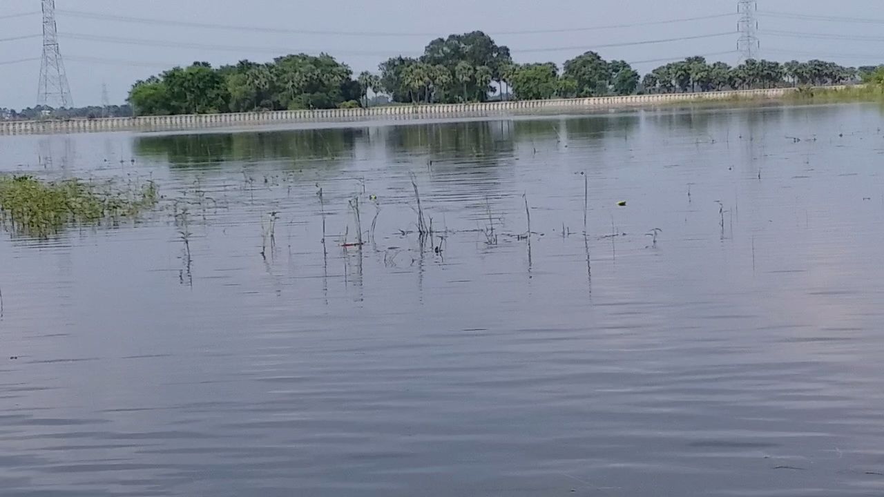 Flood In bihar