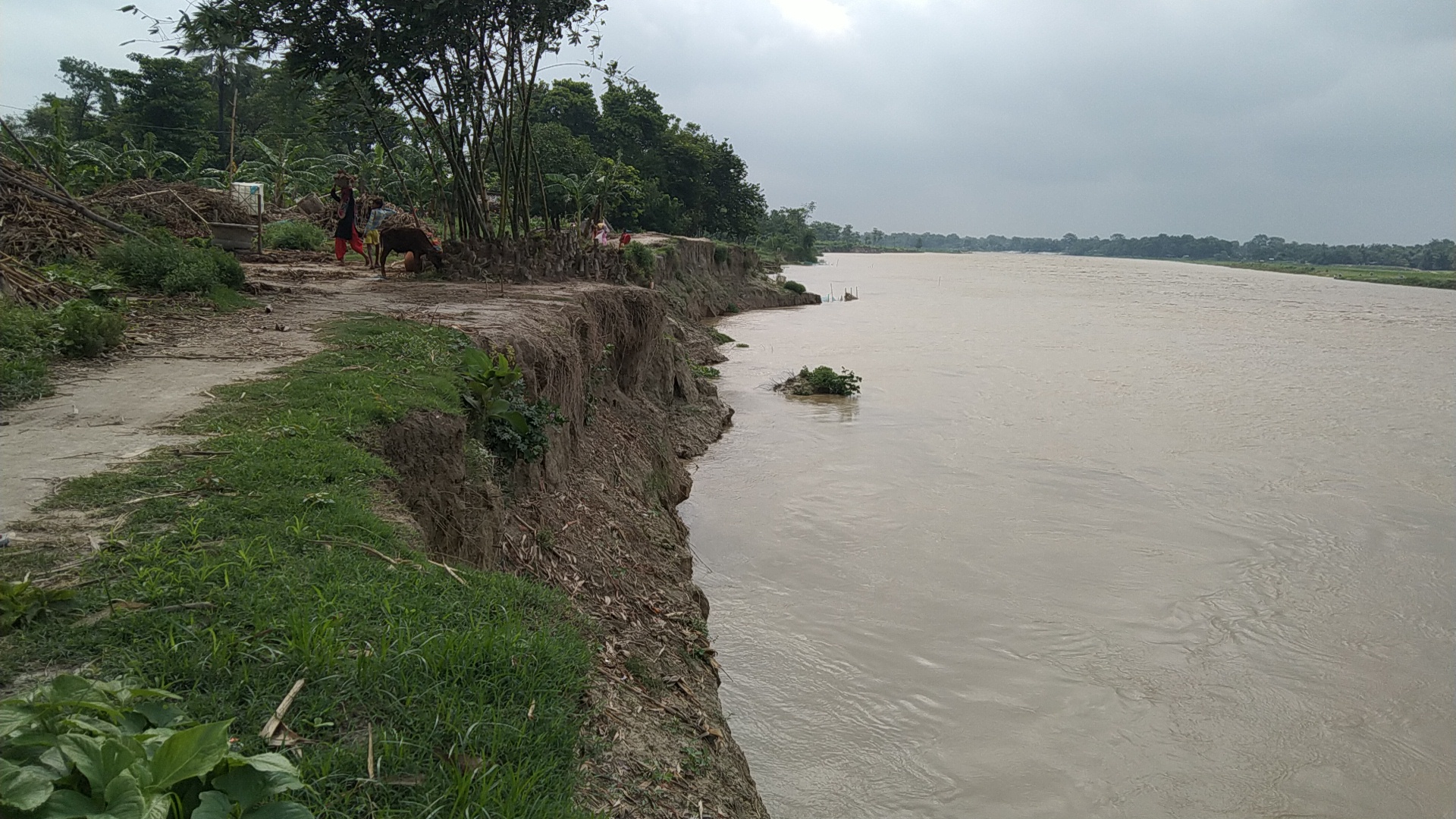 उफान पर बूढ़ी गंडक नदी