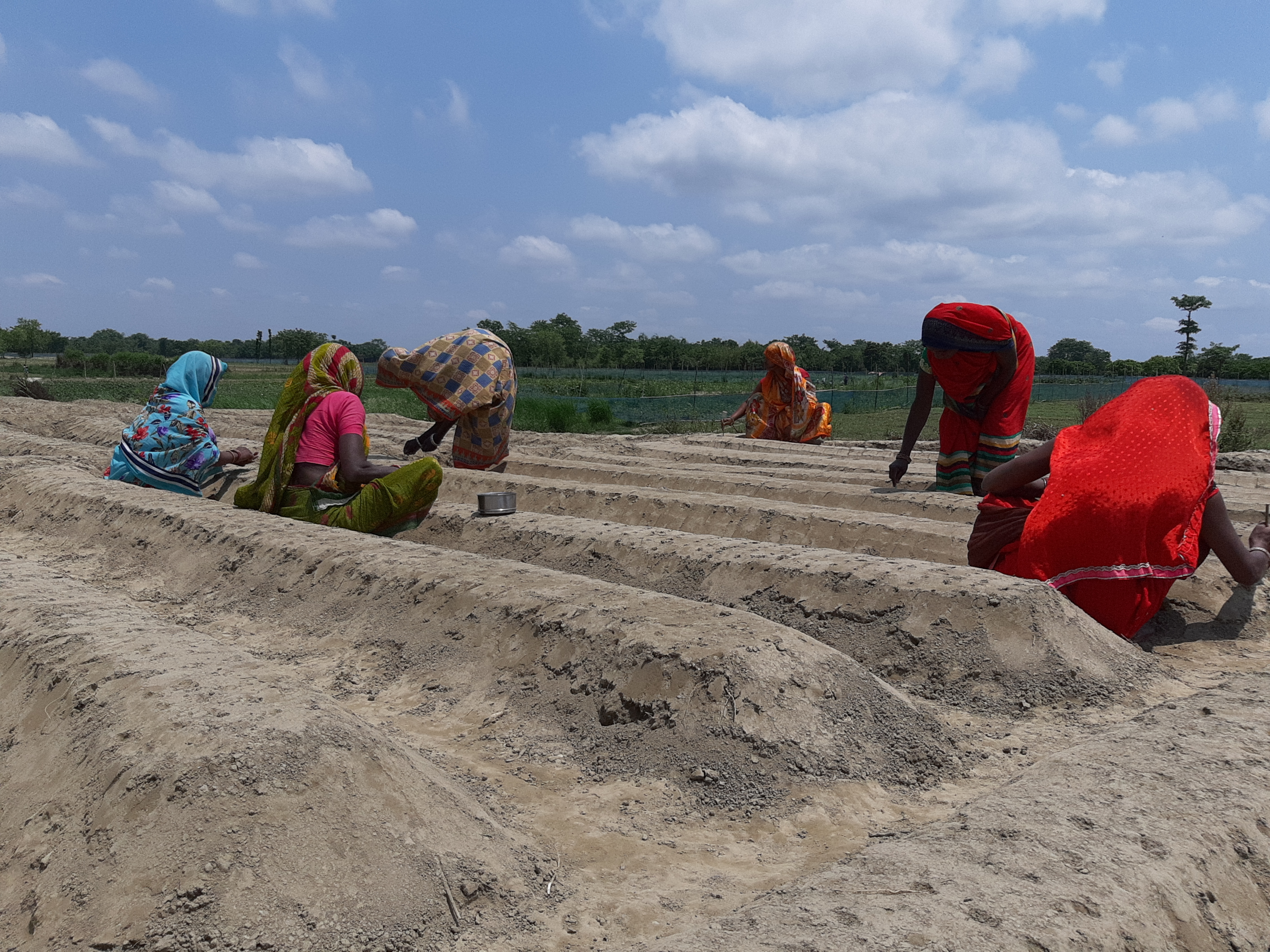 Labor Day: Farmers are cultivating in the national spirit