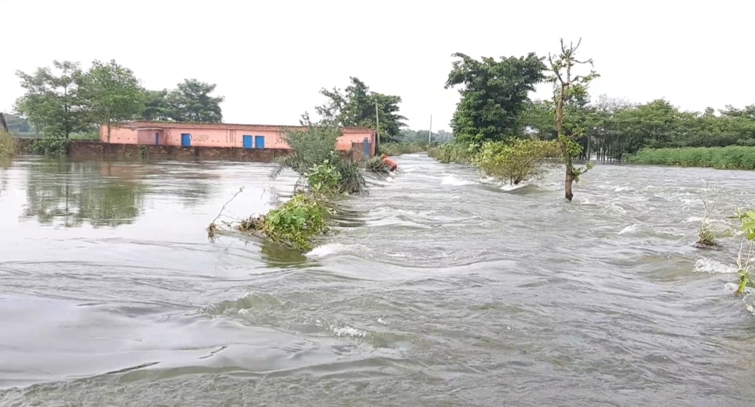 budhi gandak river