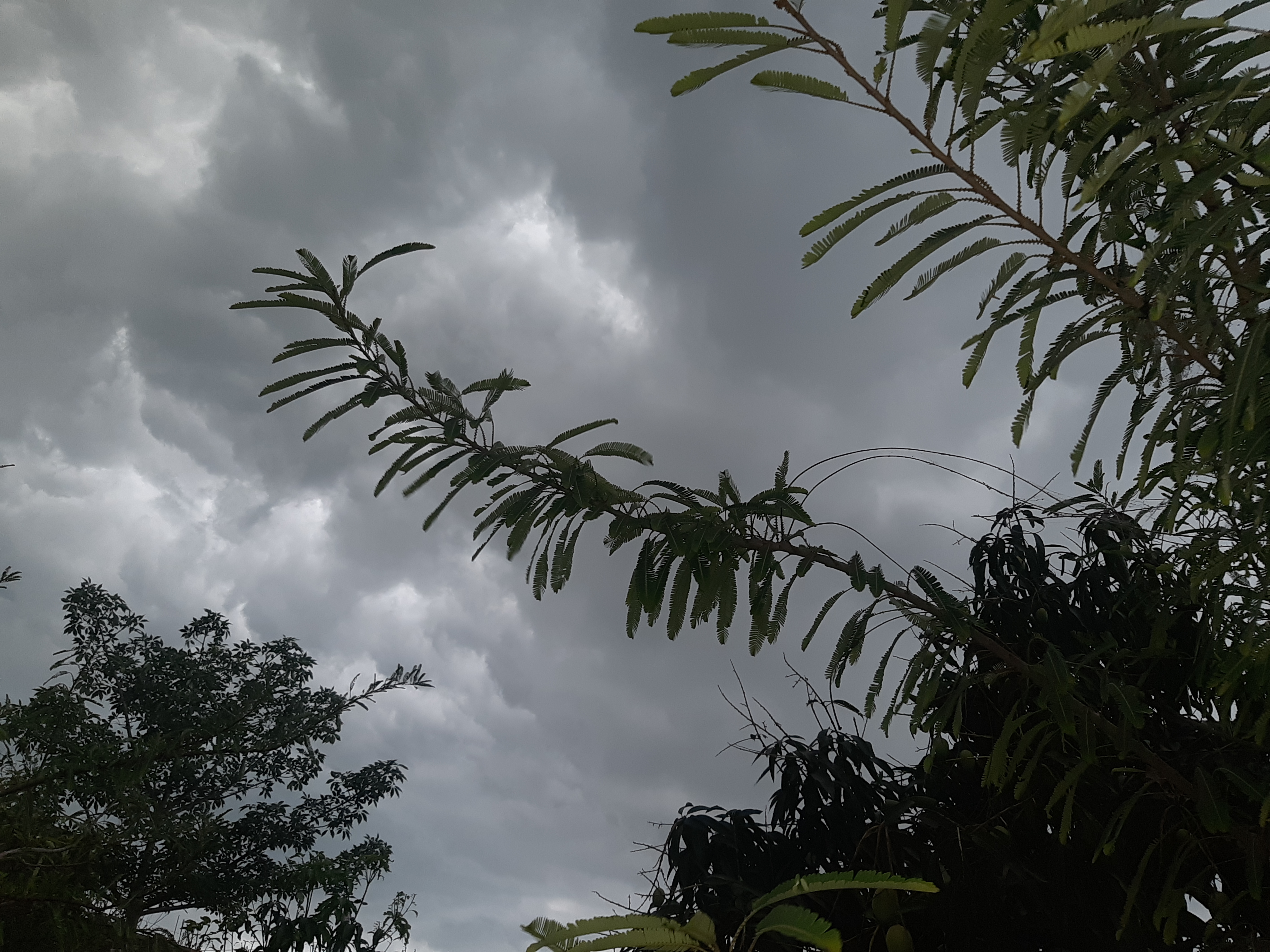 rain in bihar