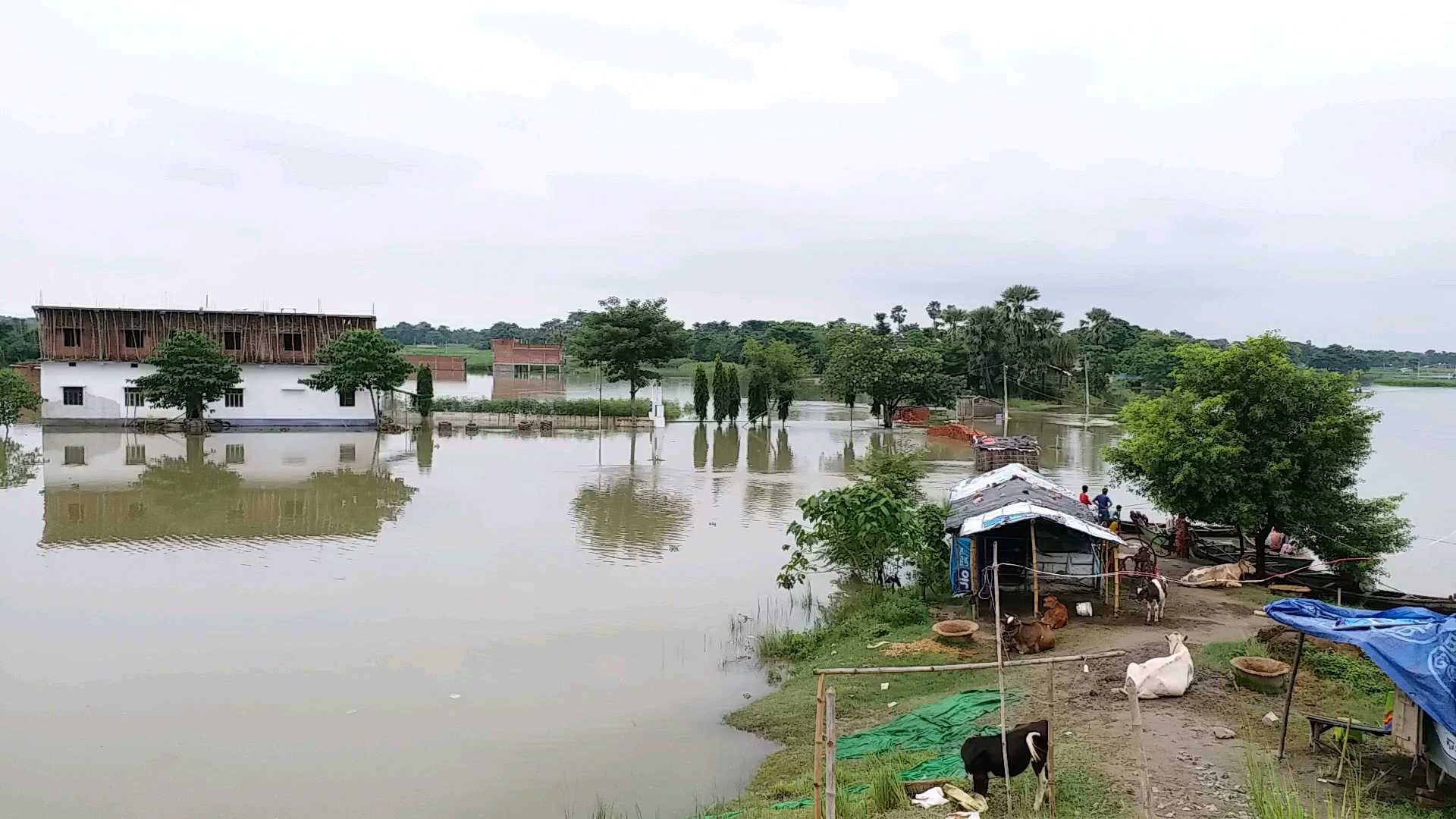 बाढ़ में डूबे कई गांव