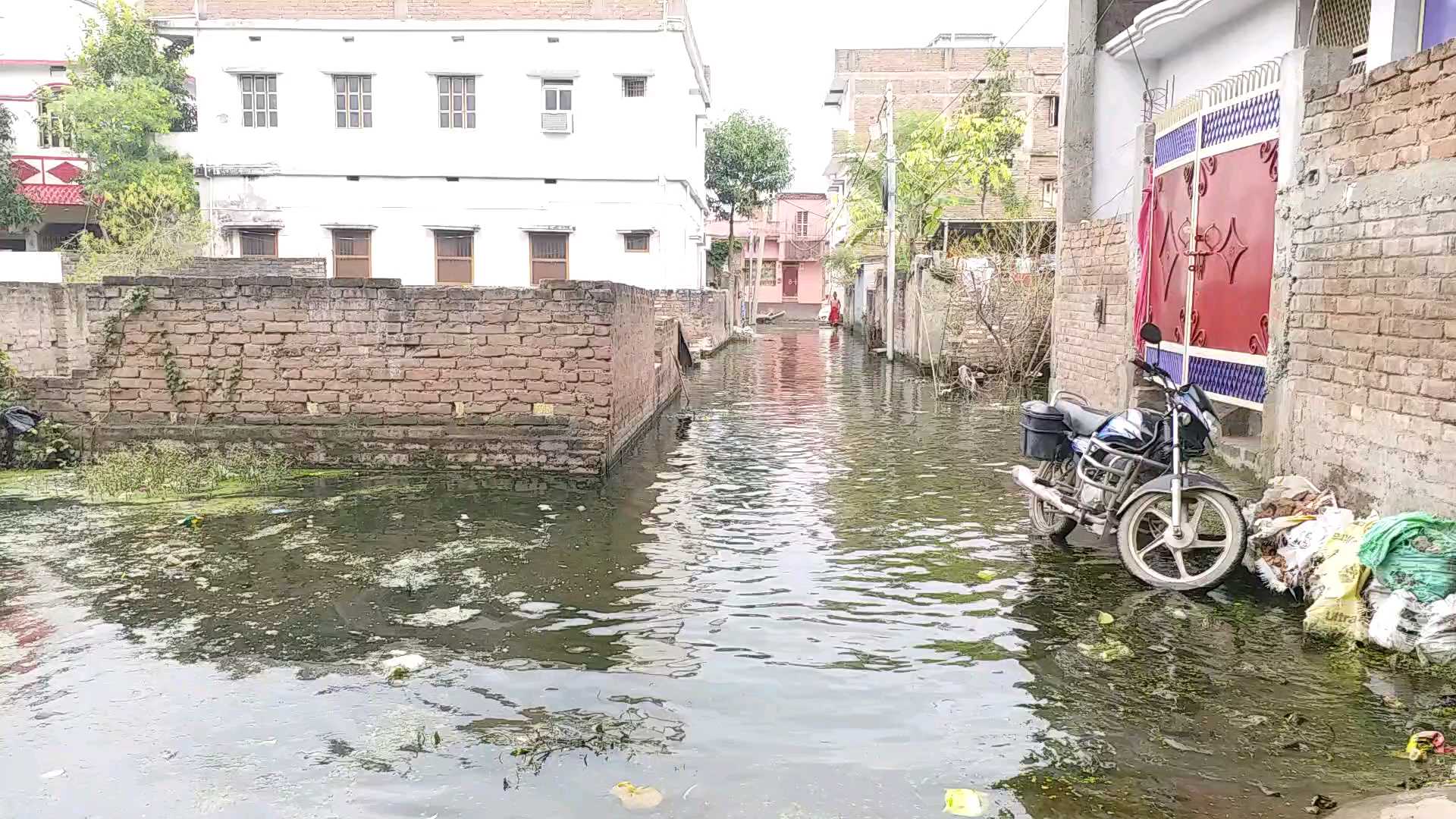 जलजमाव के कारण बढ़ा मच्छरों का आतंक