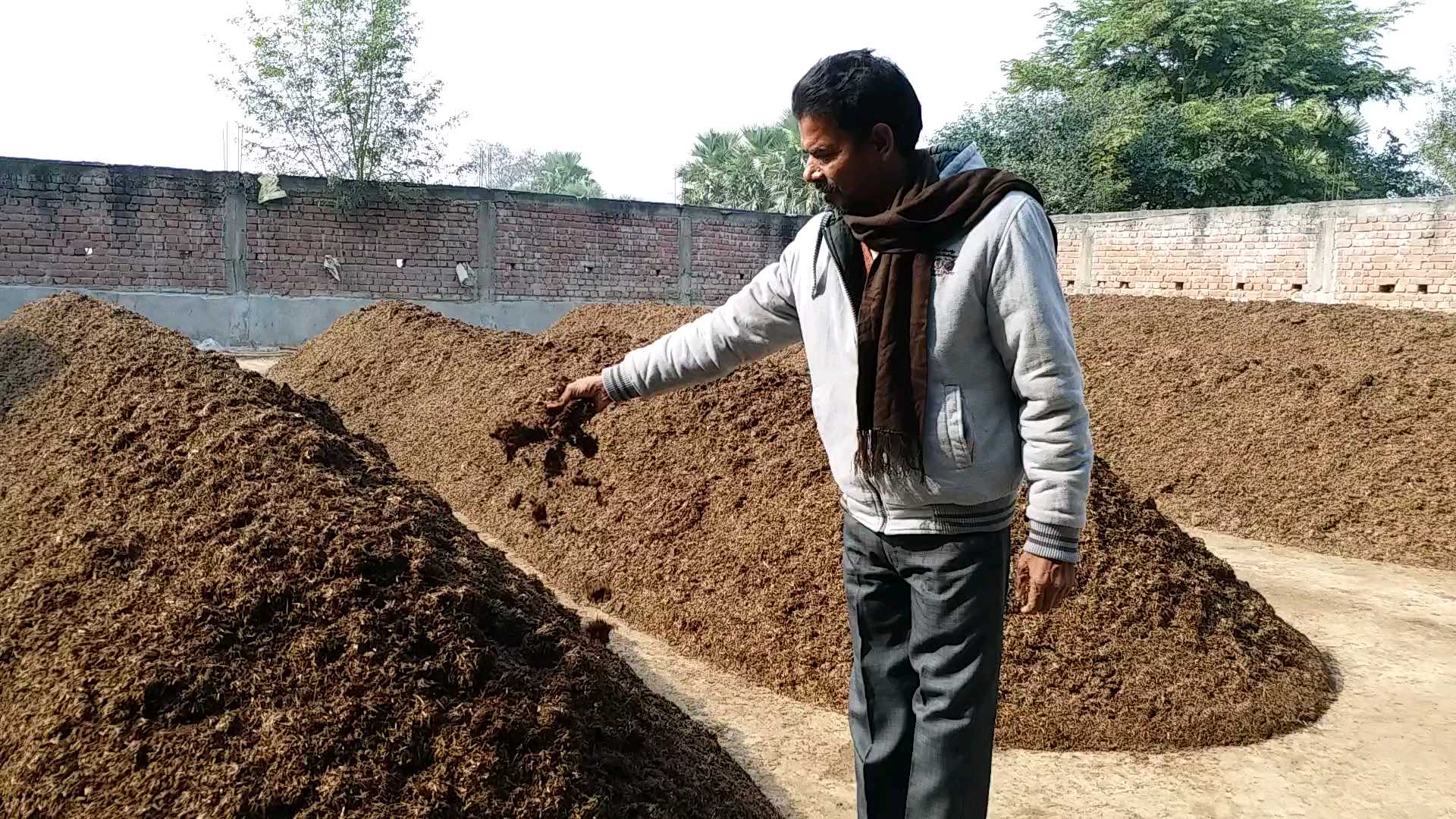 mushroom cultivation