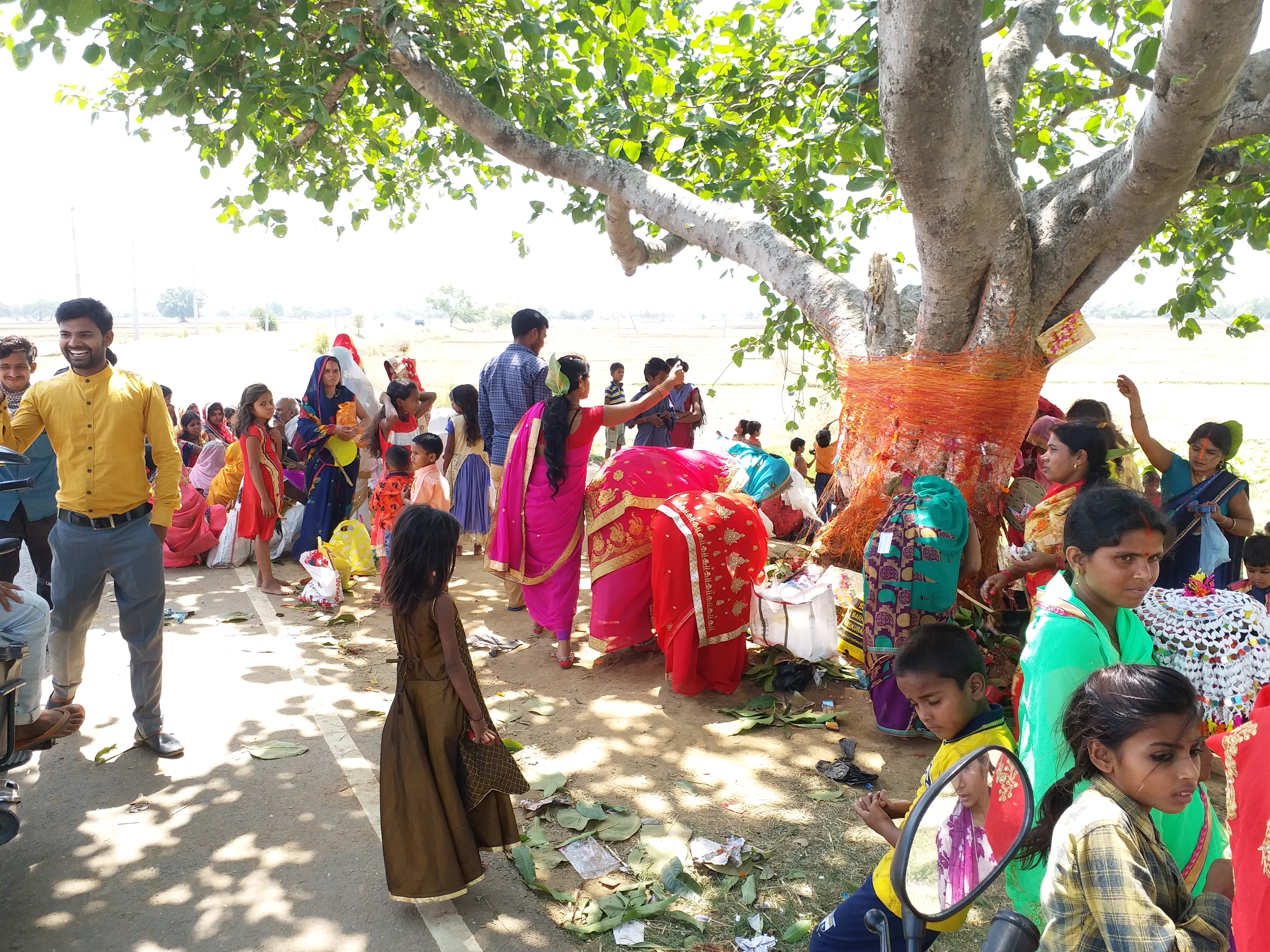 Vat Savitri puja