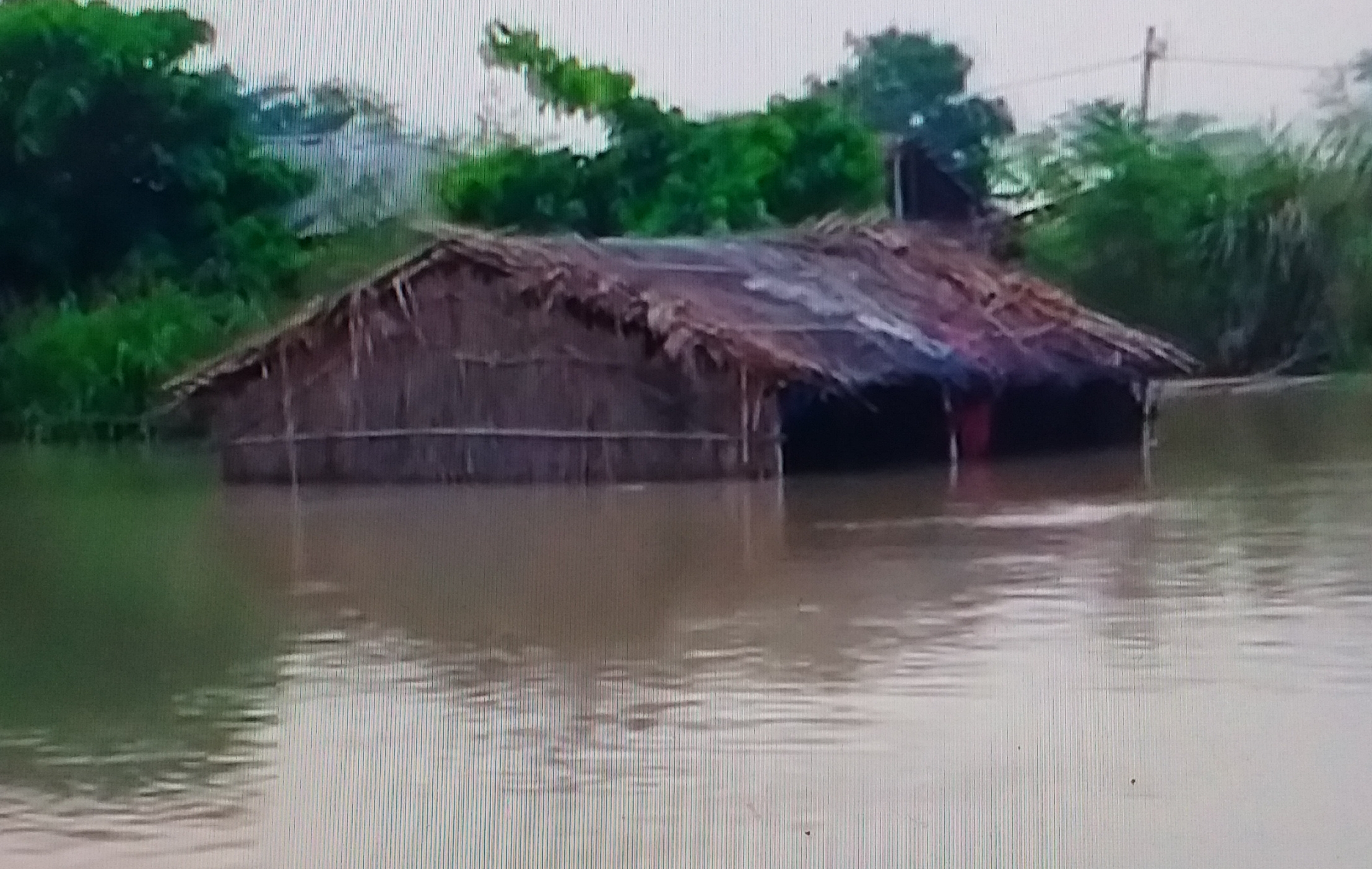 कोसी नदी की बाढ़ में डूबा गांव