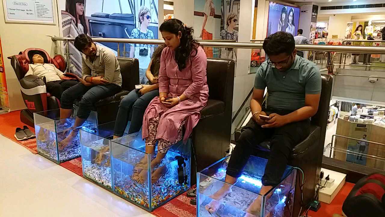 Fish spa center in patna