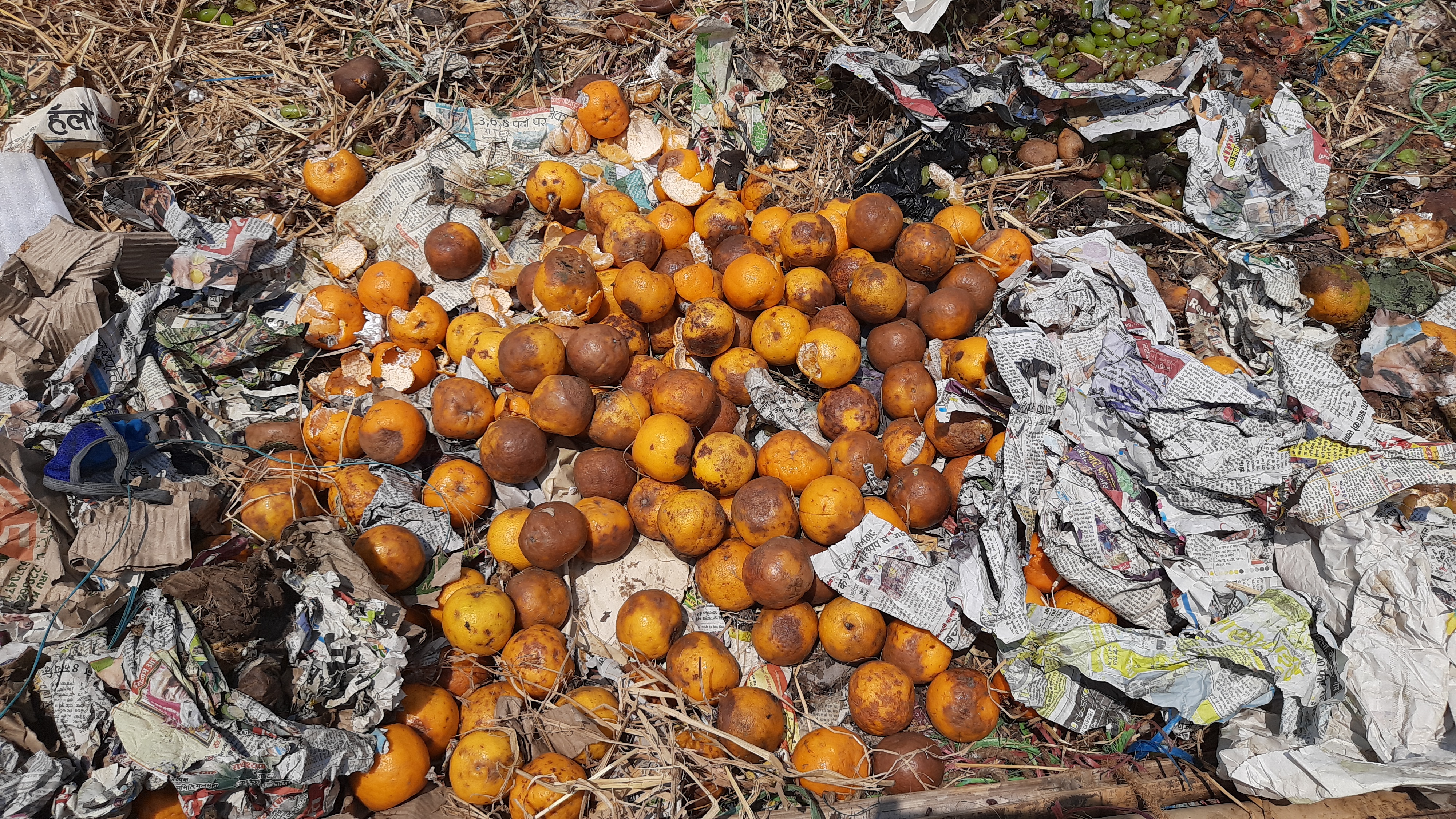 status-of-fruit-business-very-bad-during-lockdown