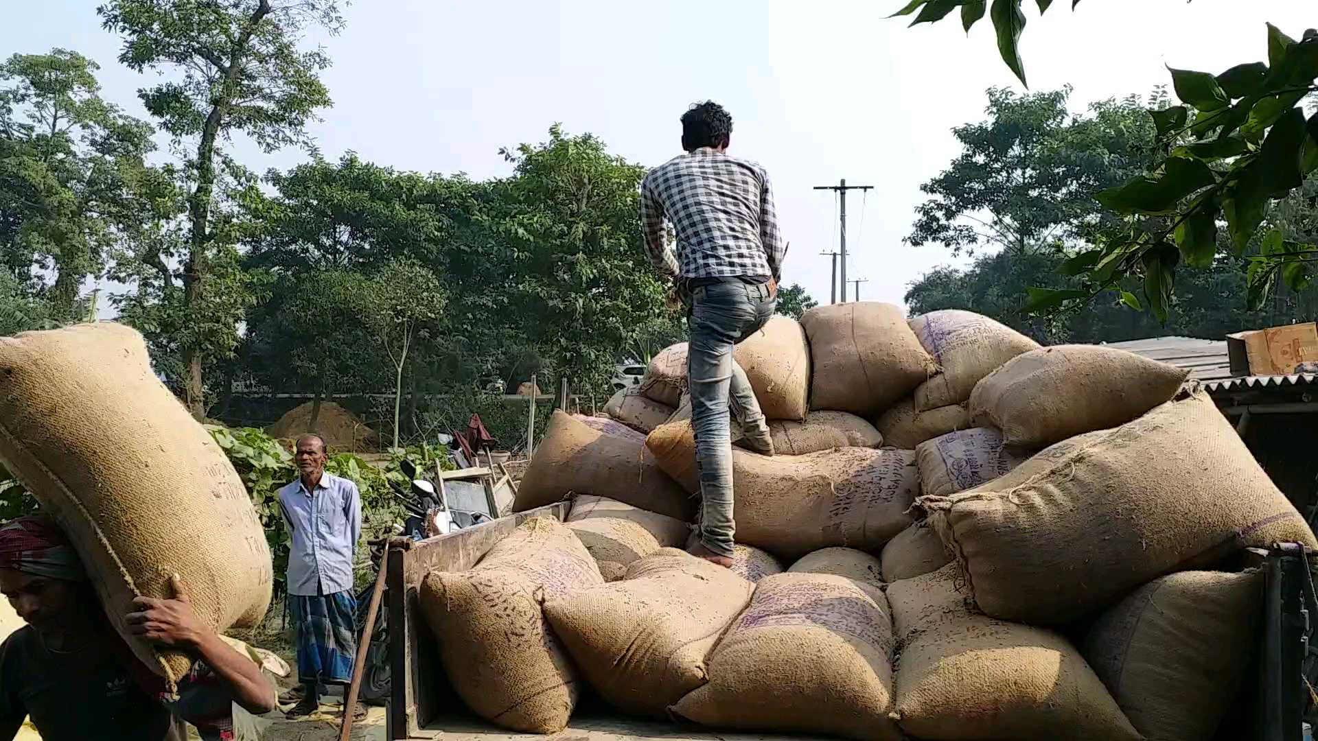 चावल के बोरे जब्त