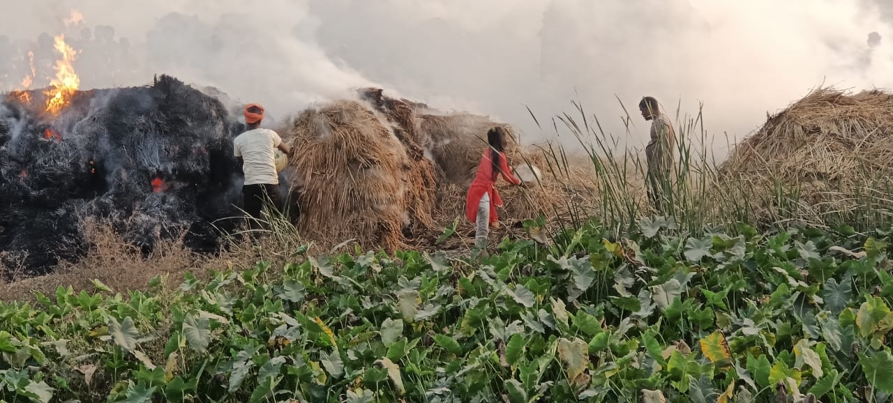 किसानों का लाखों का नुकसान