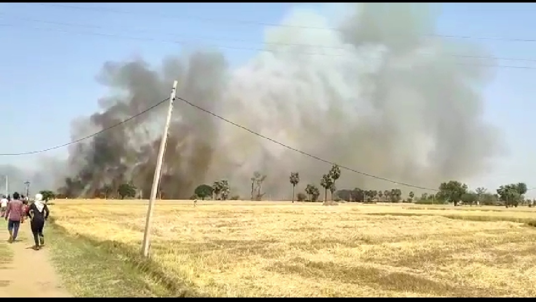 80 bigha crop destroyed due to fire in Rohtas