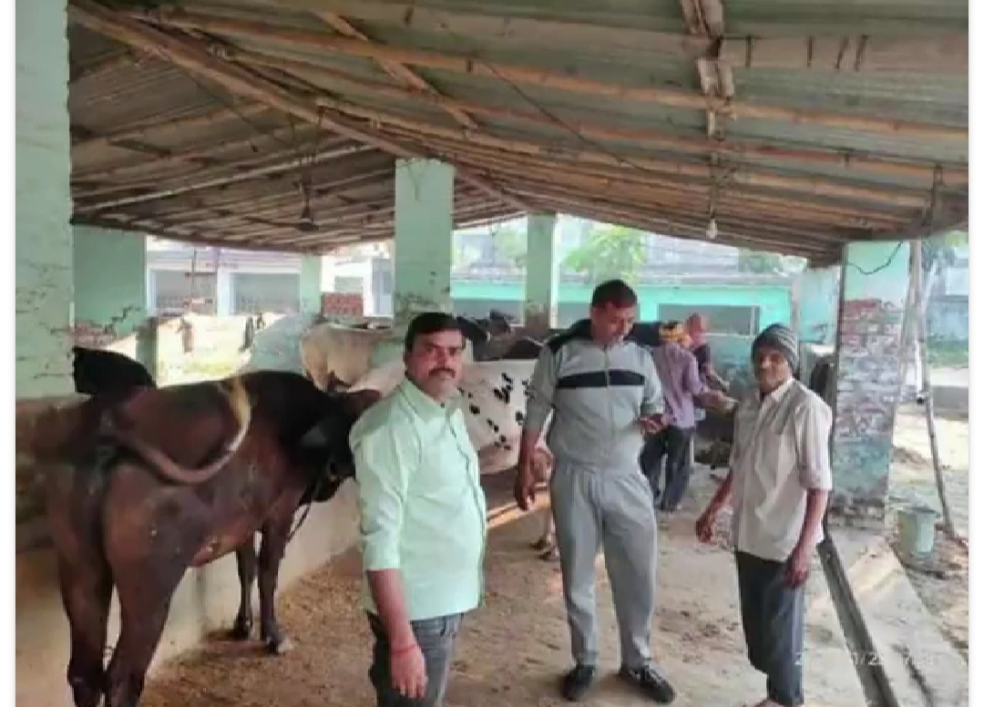 गोपाष्टमी पर गाय की पूजा