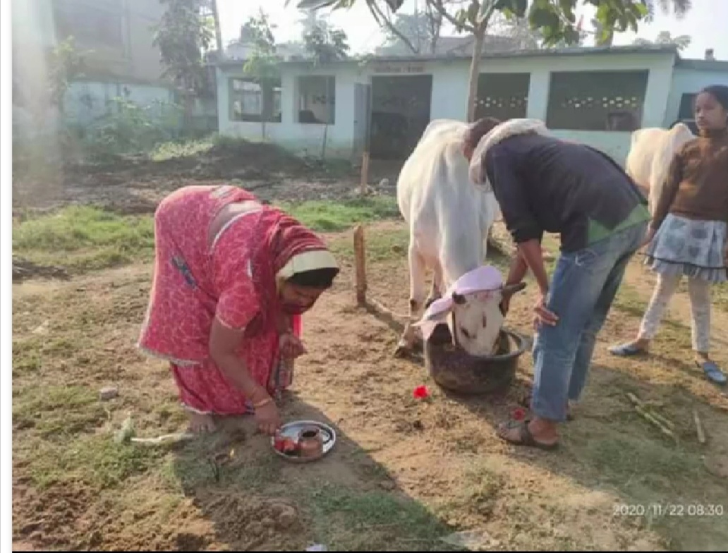 गोपाष्टमी पर गाय की पूजा