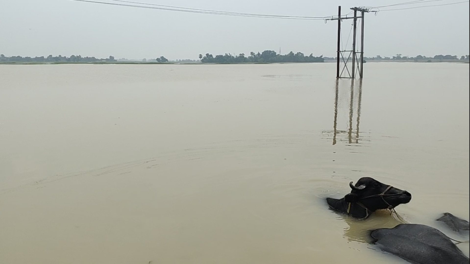 flood in bihar